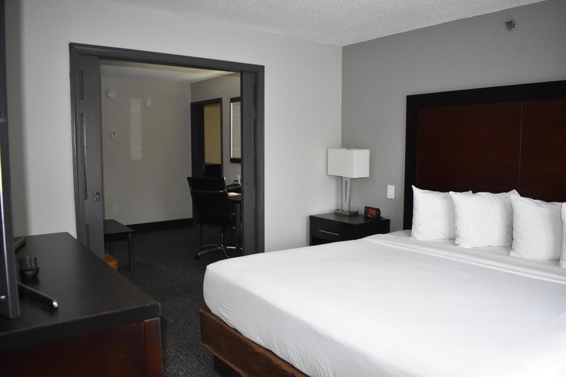 Wingate by Wyndham Atlanta Galleria/ Ballpark photo 56