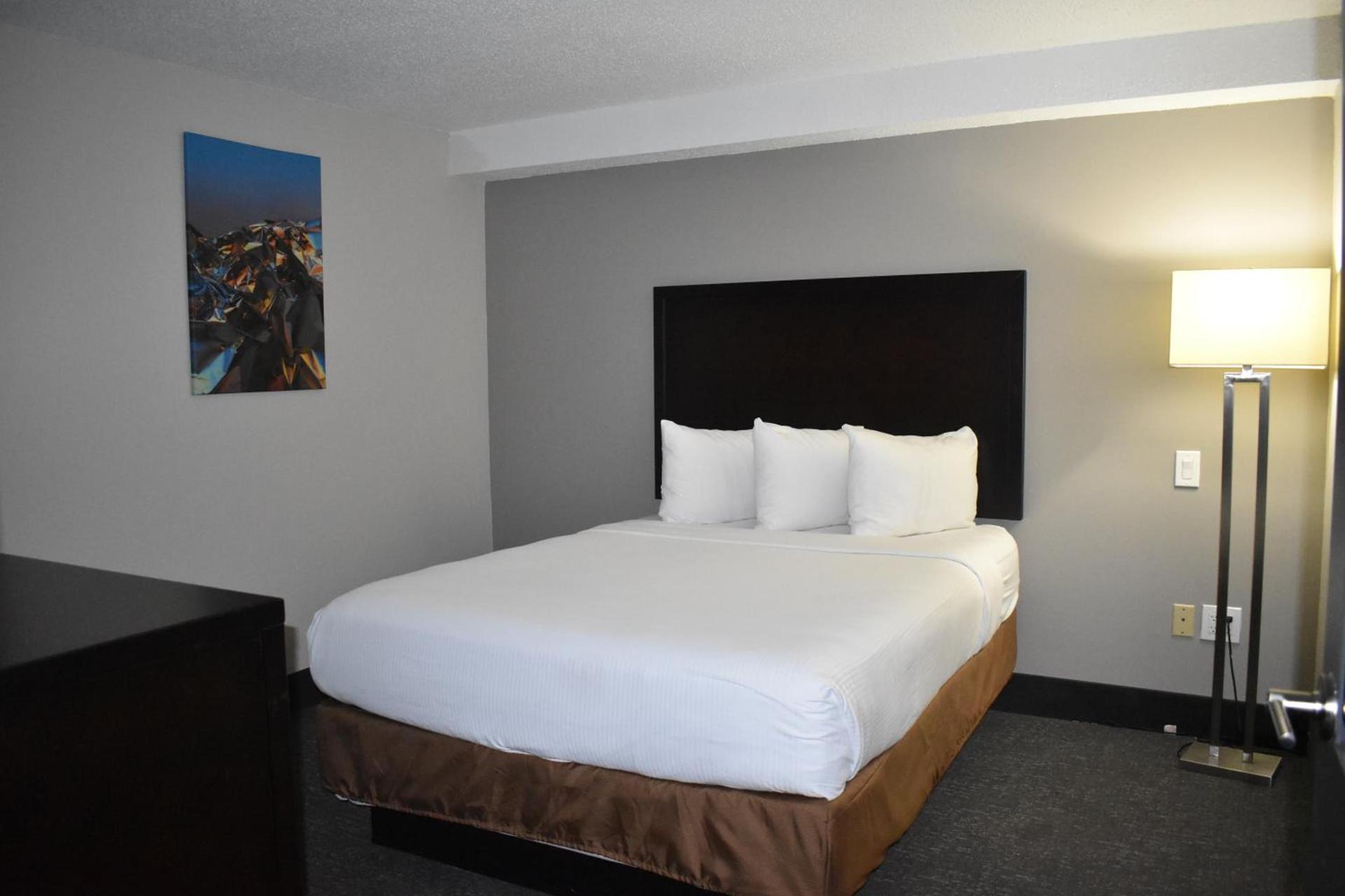 Wingate by Wyndham Atlanta Galleria/ Ballpark photo 49
