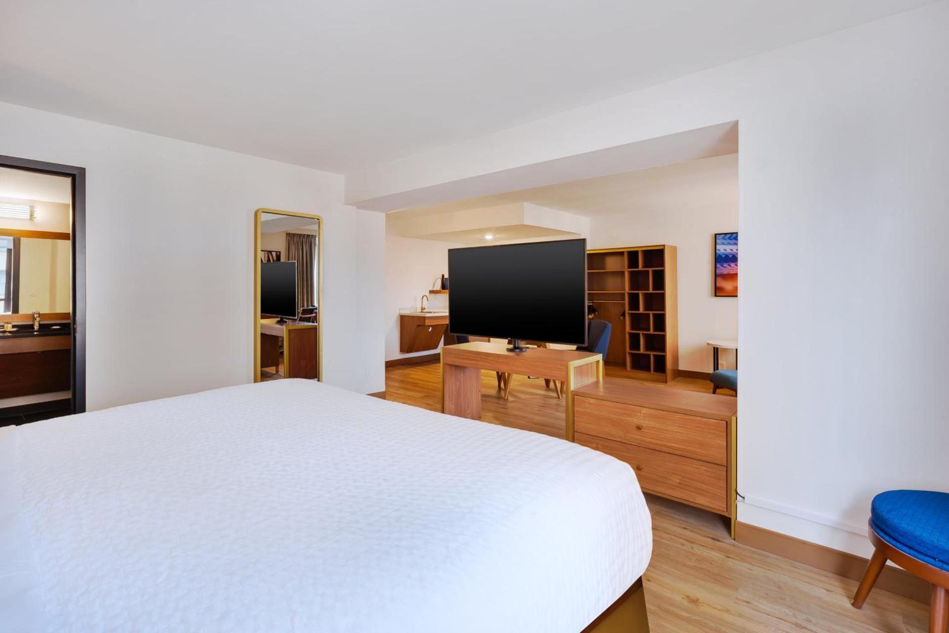 Hotel Indigo Detroit Downtown by IHG photo 48