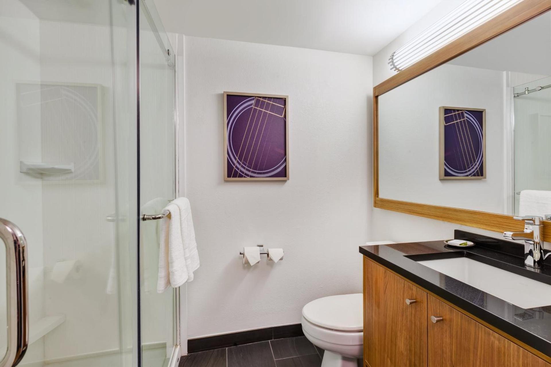 Hotel Indigo Detroit Downtown by IHG photo 89