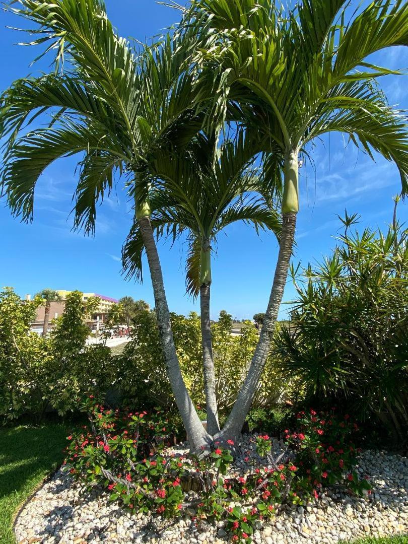 Beachside Resort Motel photo 44