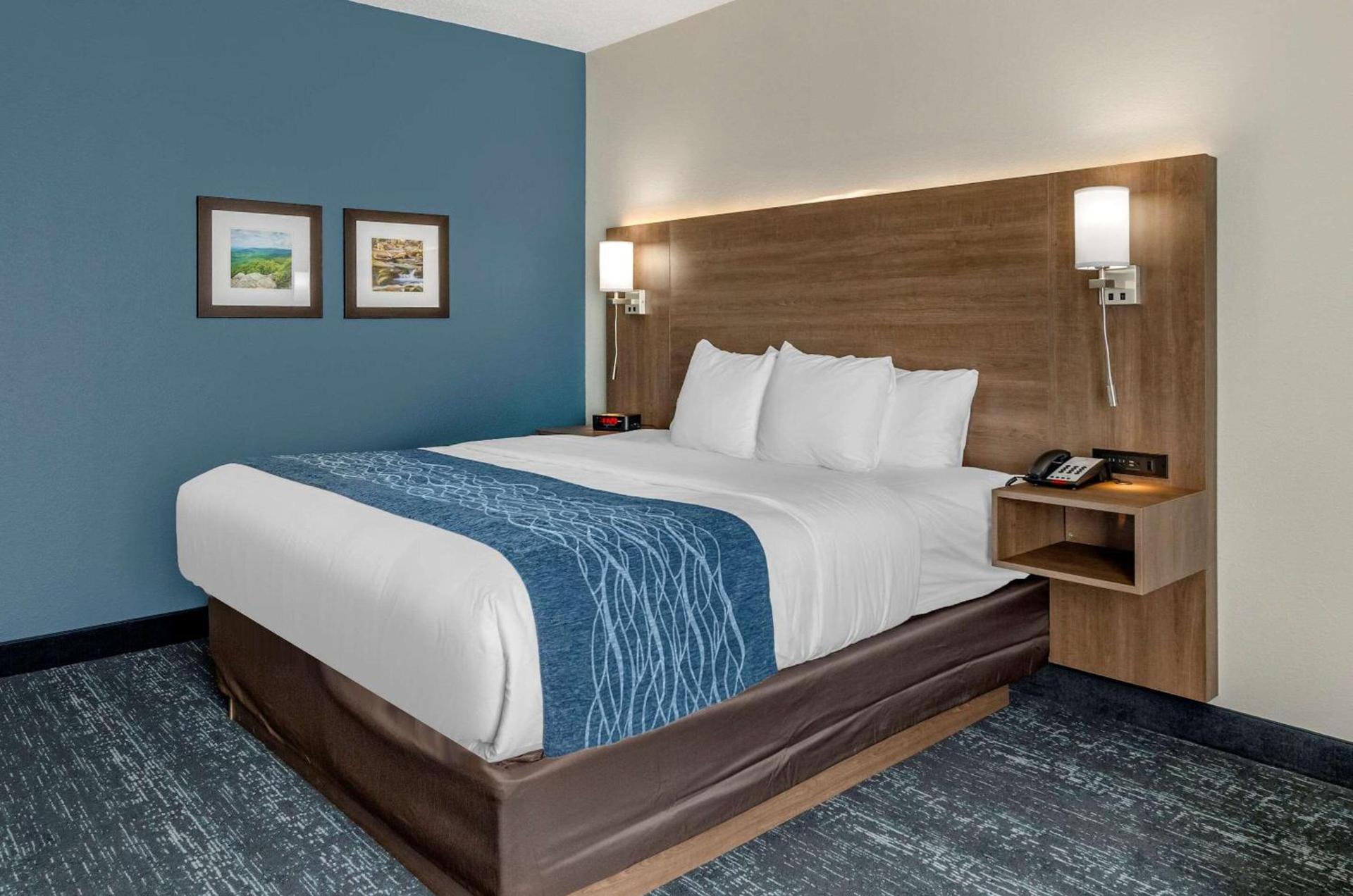 Comfort Inn & Suites Troutville-Roanoke North photo 7