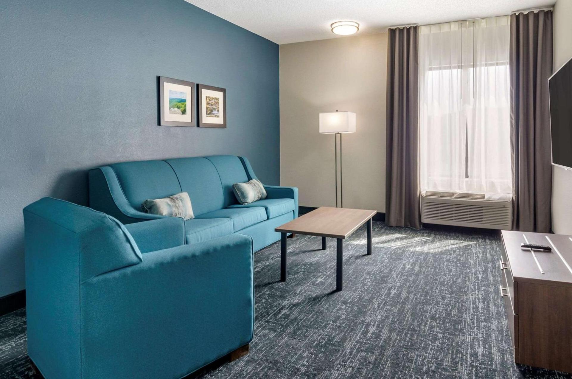 Comfort Inn & Suites Troutville-Roanoke North photo 17