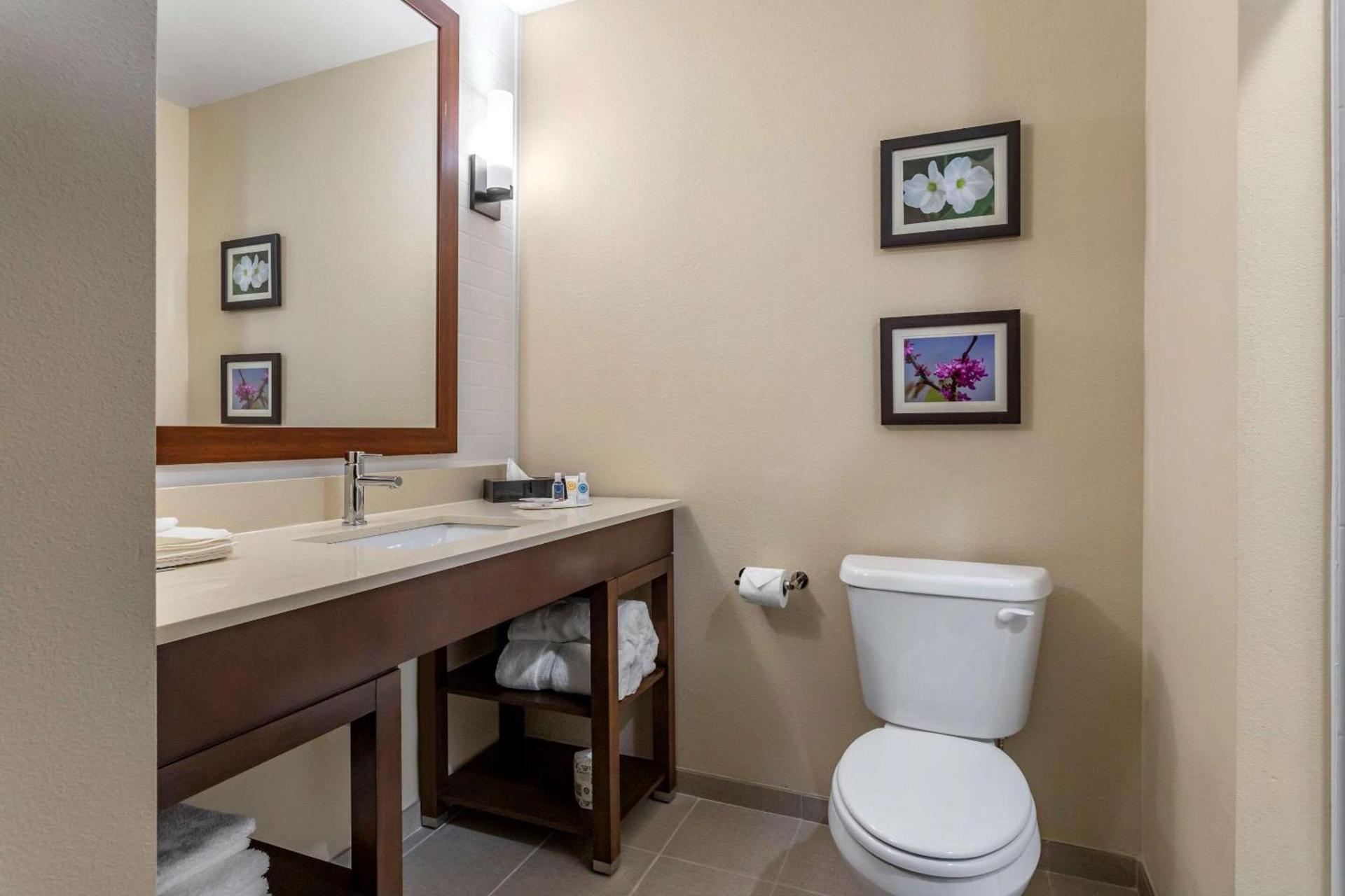 Comfort Inn & Suites Waller photo 9