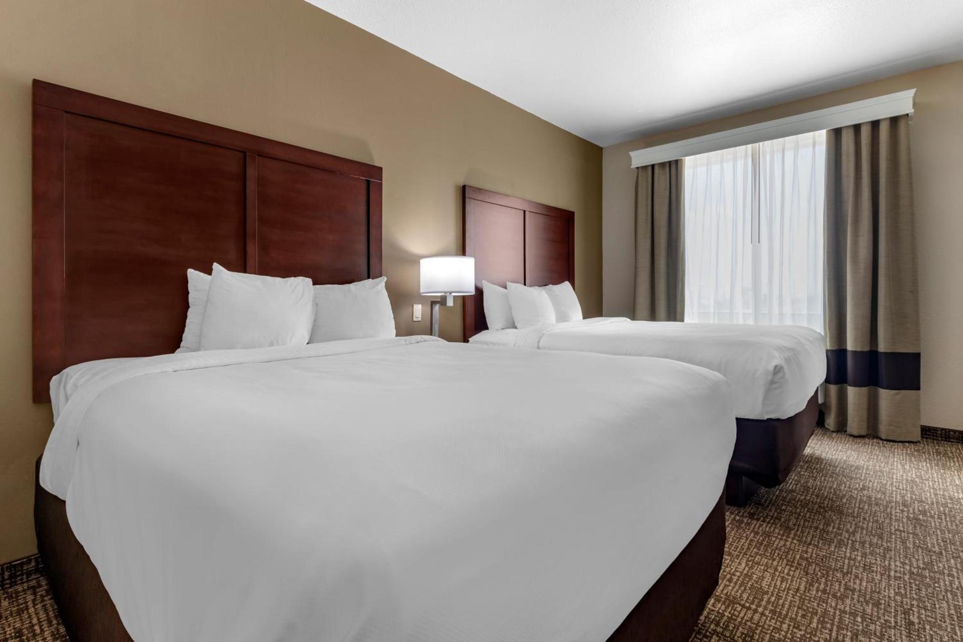 Comfort Suites Waco North - Near University Area photo 17