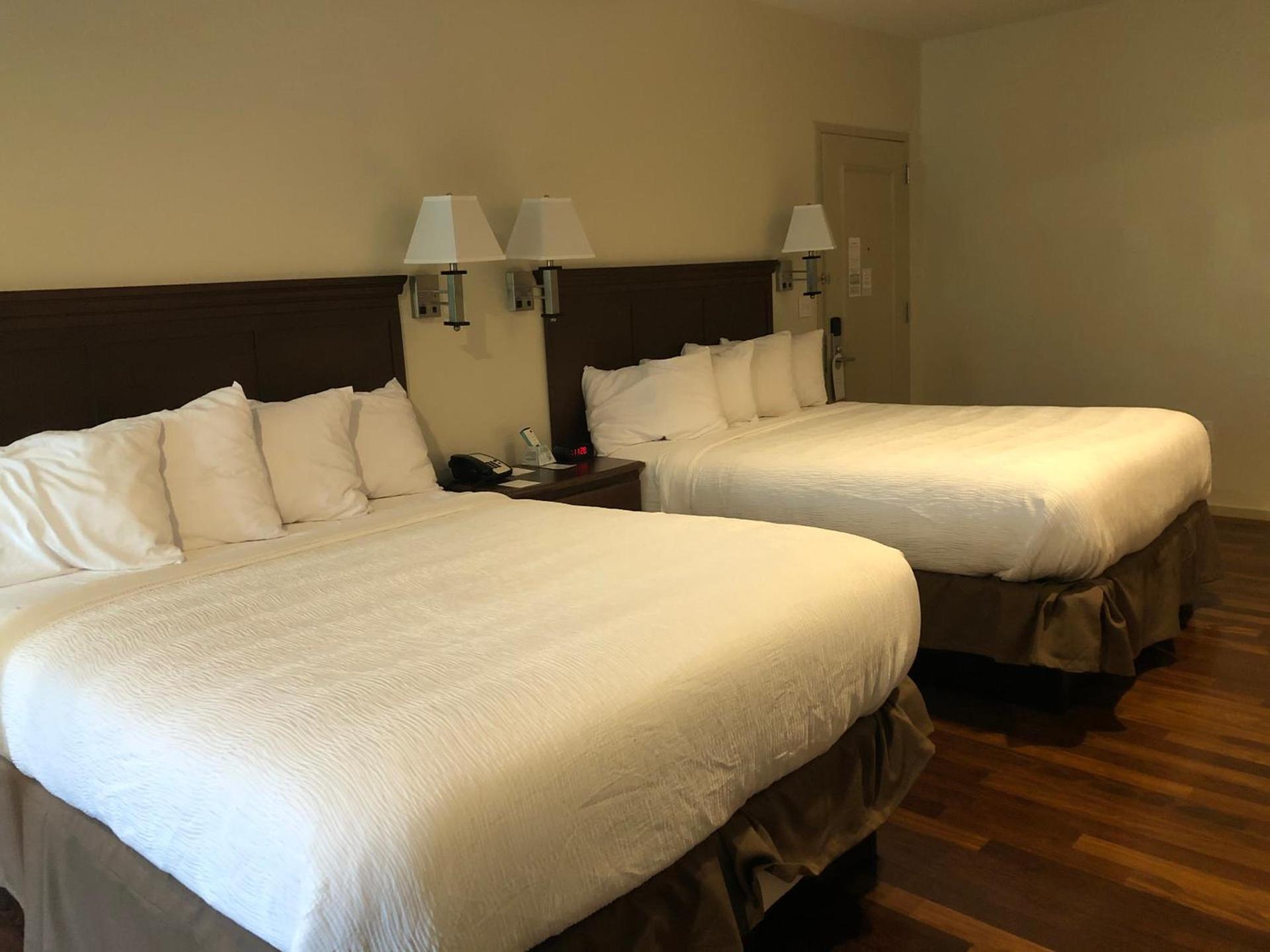 Grand Eastonian Hotel & Suites photo 16