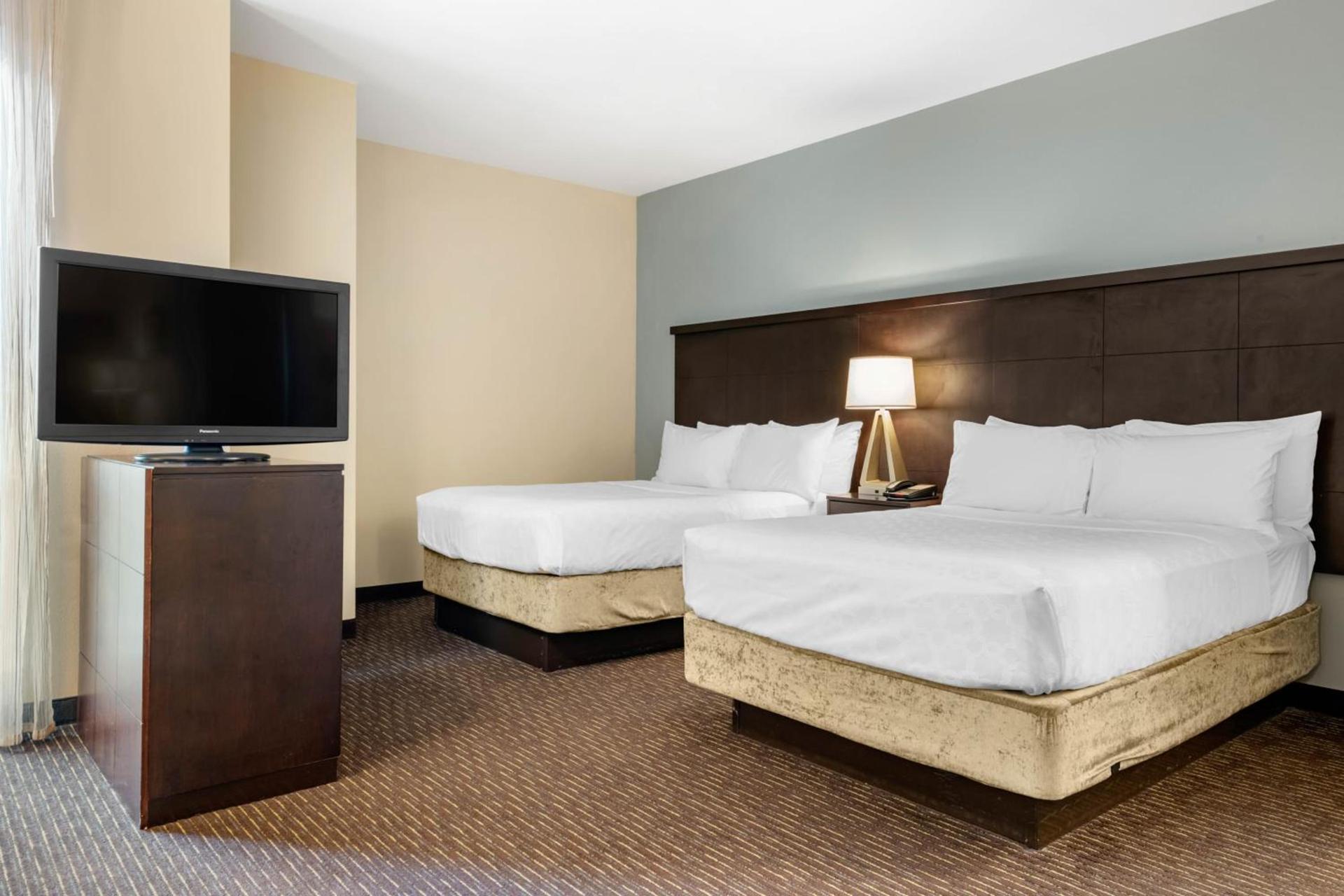 Staybridge Suites St. Petersburg FL by IHG photo 7