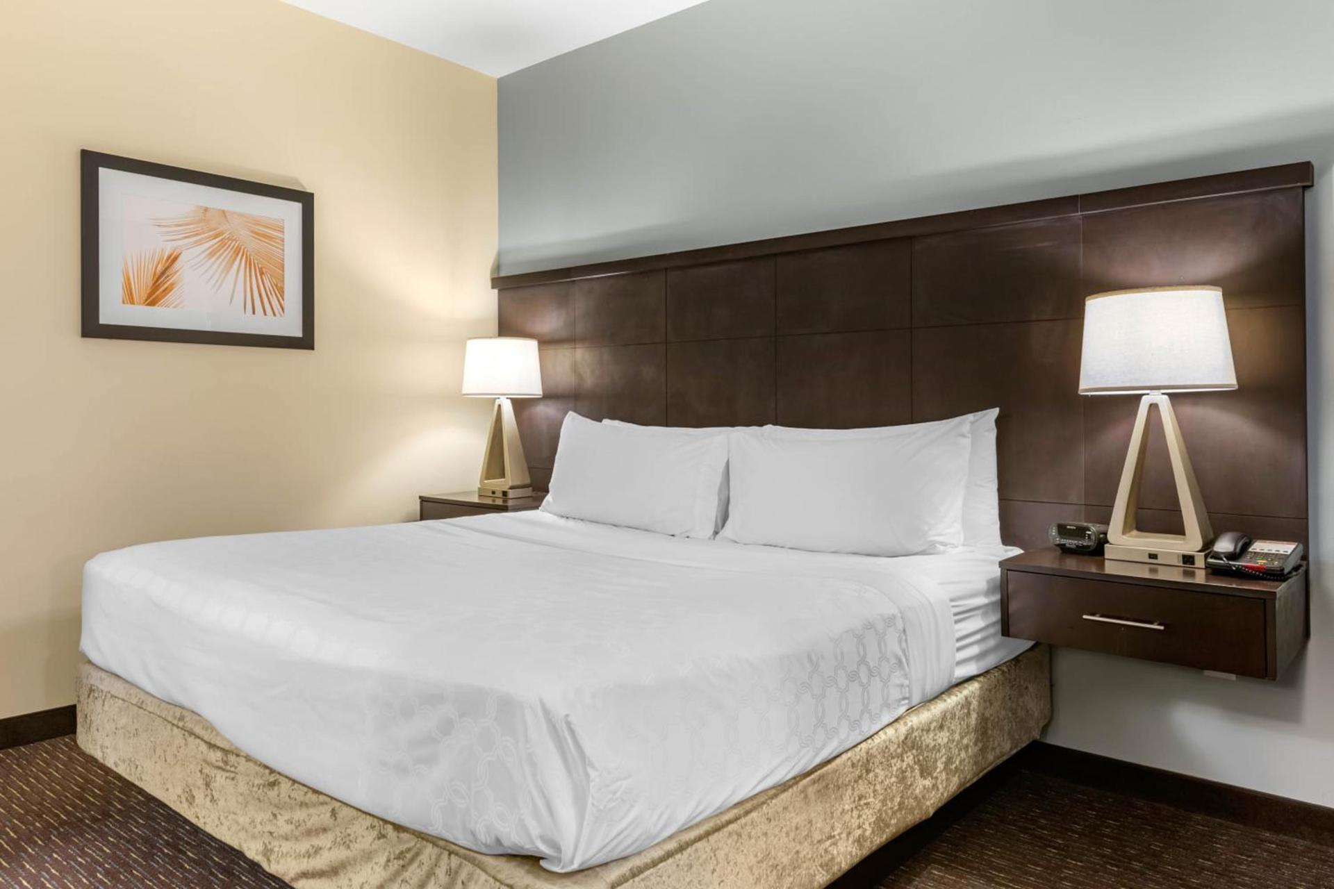 Staybridge Suites St. Petersburg FL by IHG photo 9