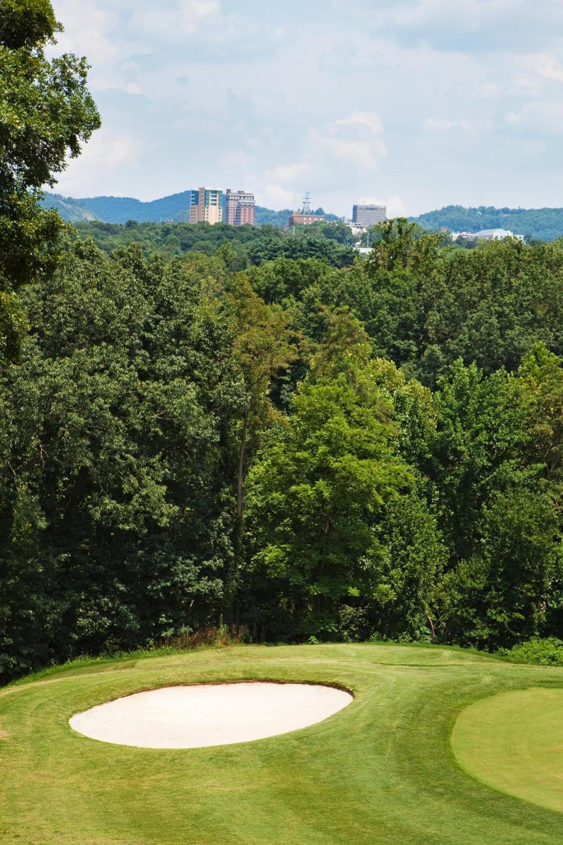 Crowne Plaza Resort Asheville by IHG photo 9