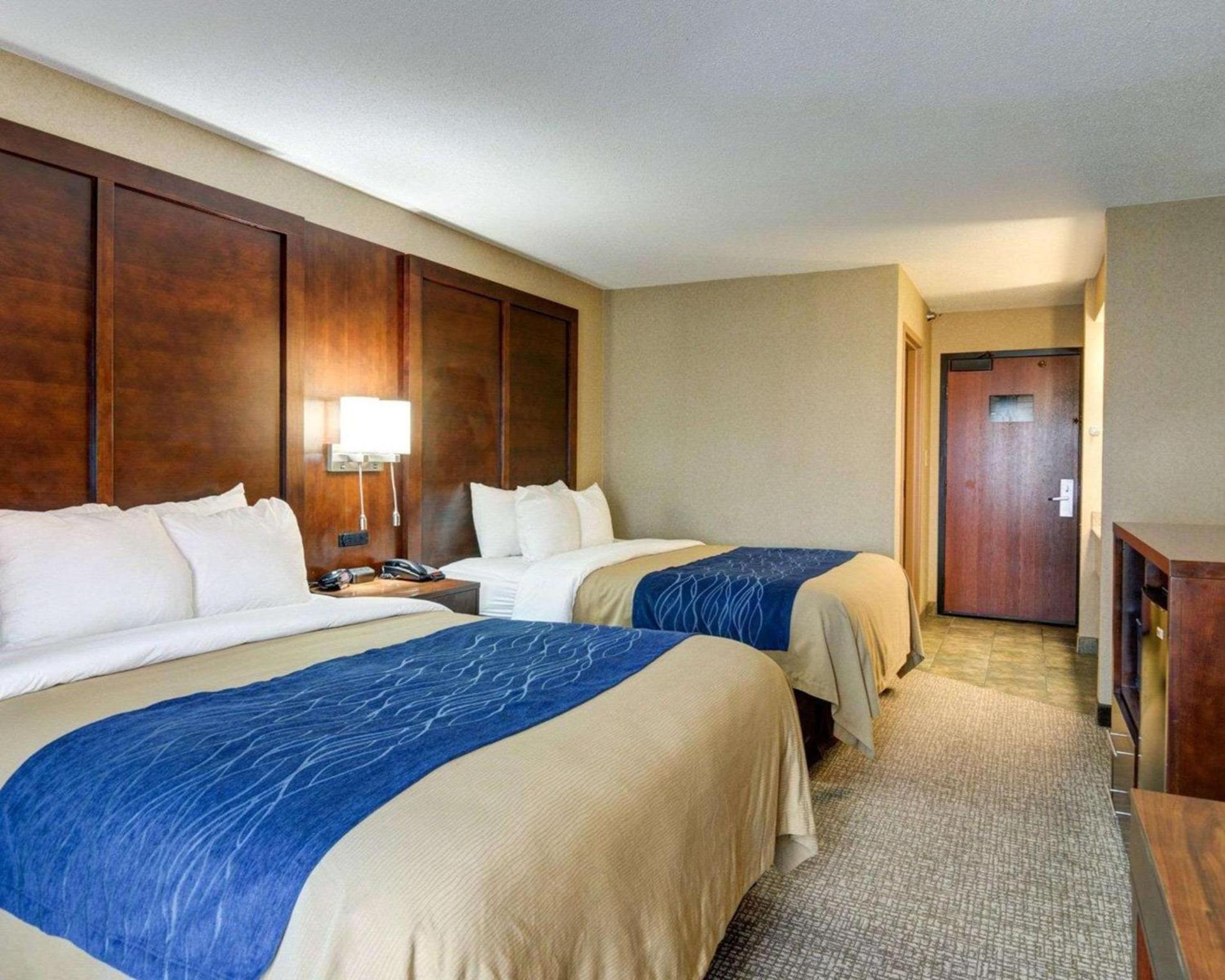 Comfort Inn & Suites Conway photo 13
