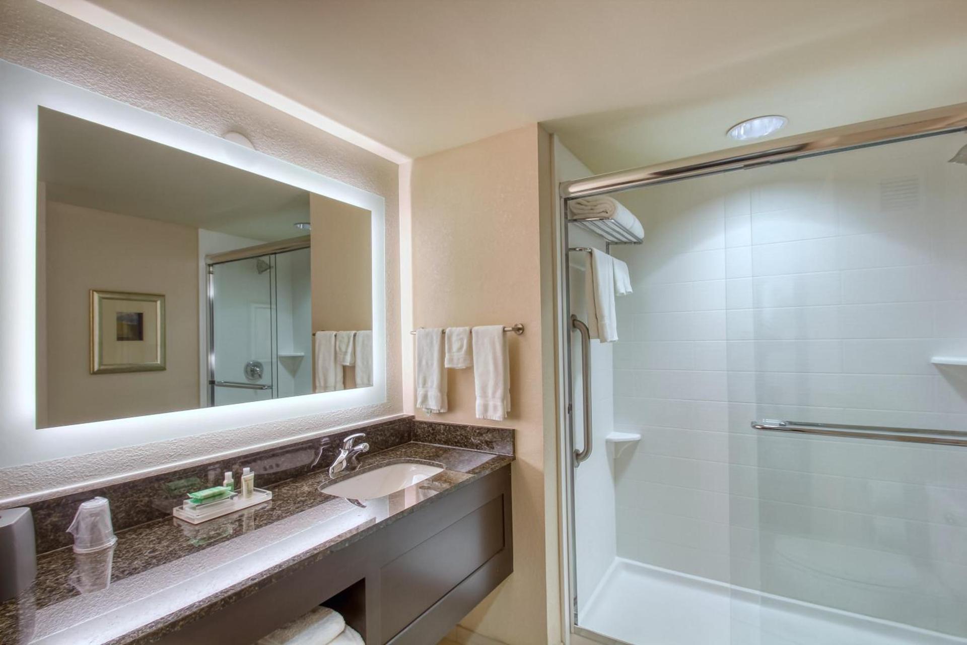 Holiday Inn & Suites Atlanta Airport North by IHG photo 38