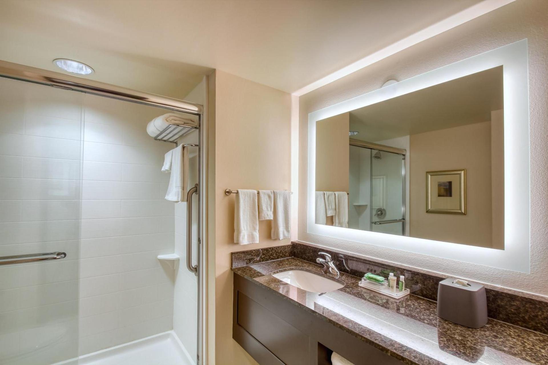 Holiday Inn & Suites Atlanta Airport North by IHG photo 36