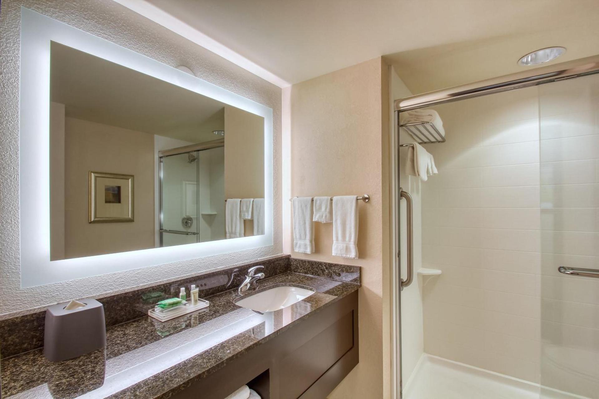 Holiday Inn & Suites Atlanta Airport North by IHG photo 39