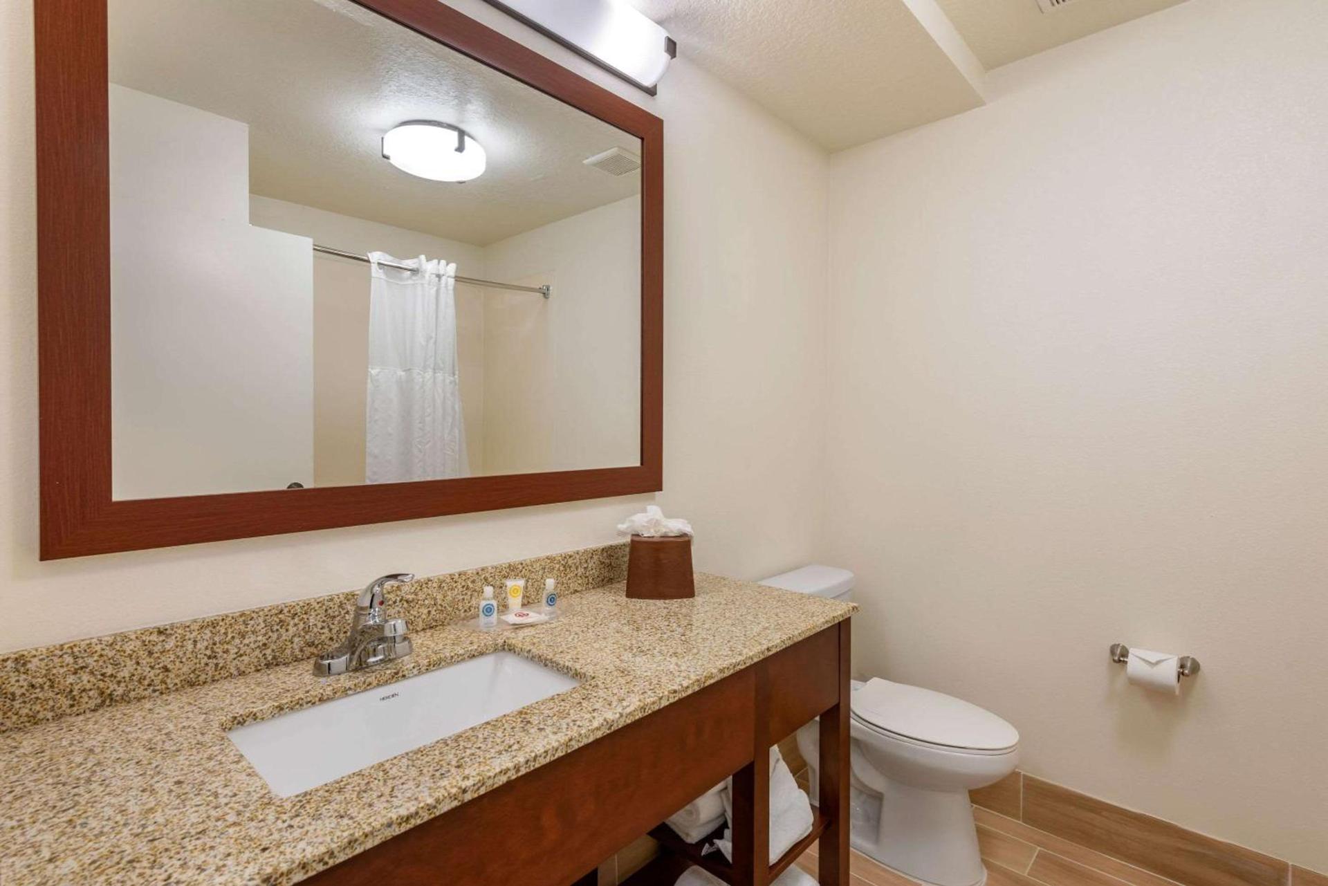 Comfort Suites Downtown photo 25