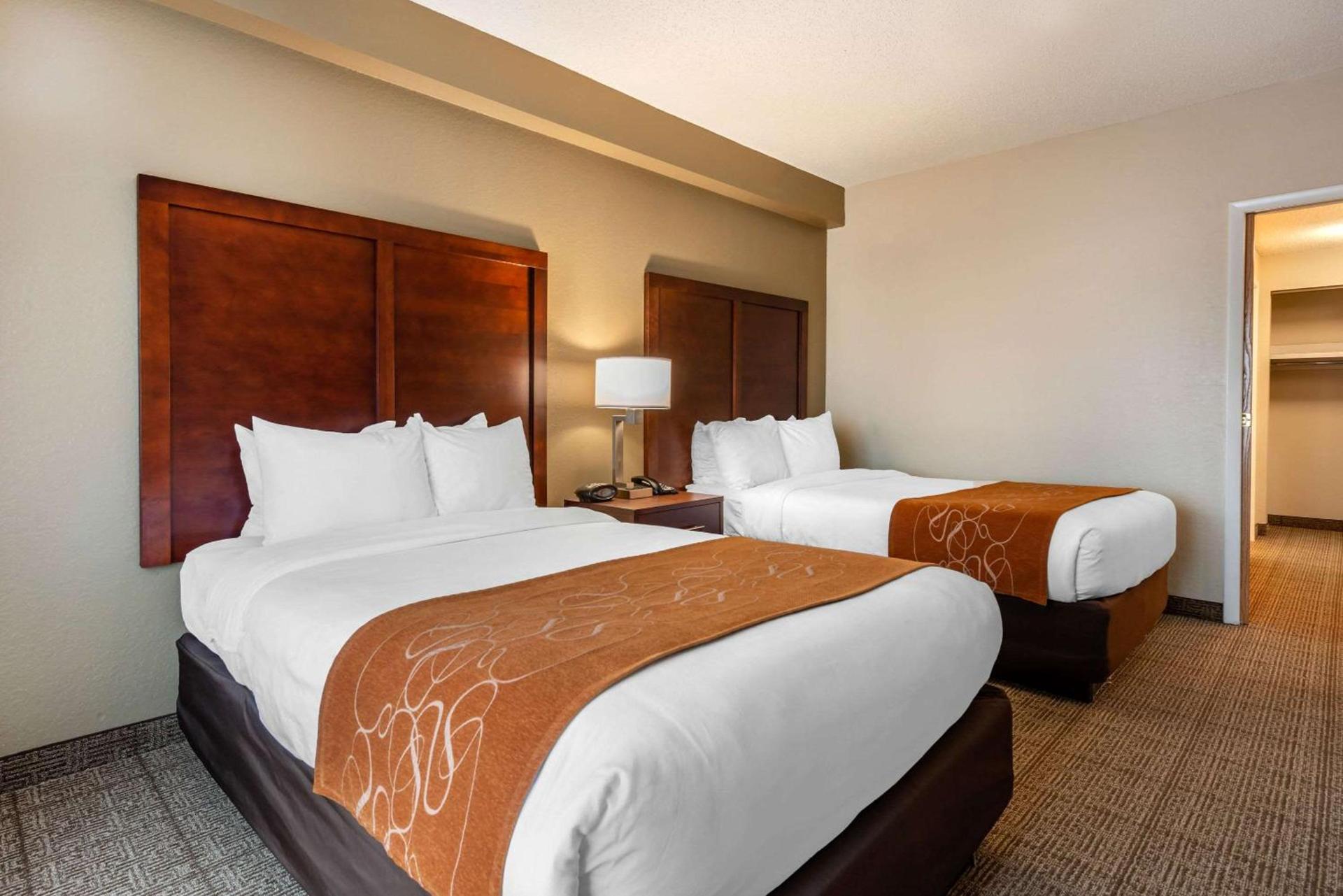 Comfort Suites Downtown photo 27