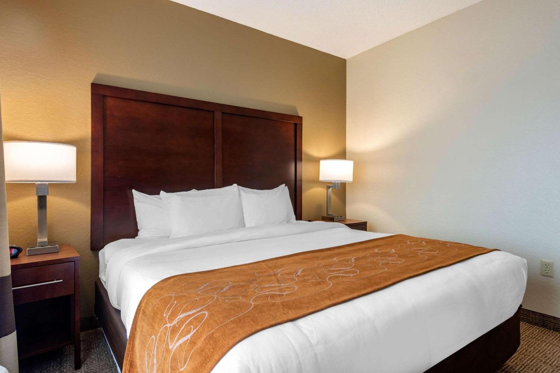Comfort Suites Downtown photo 28