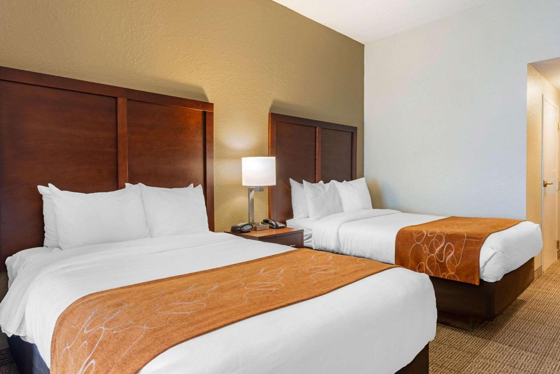 Comfort Suites Downtown photo 31