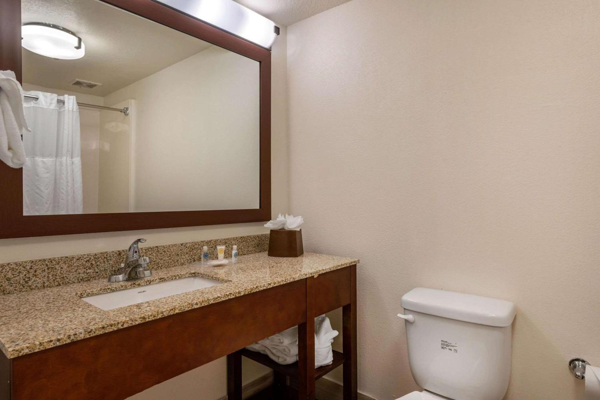 Comfort Suites Downtown photo 29