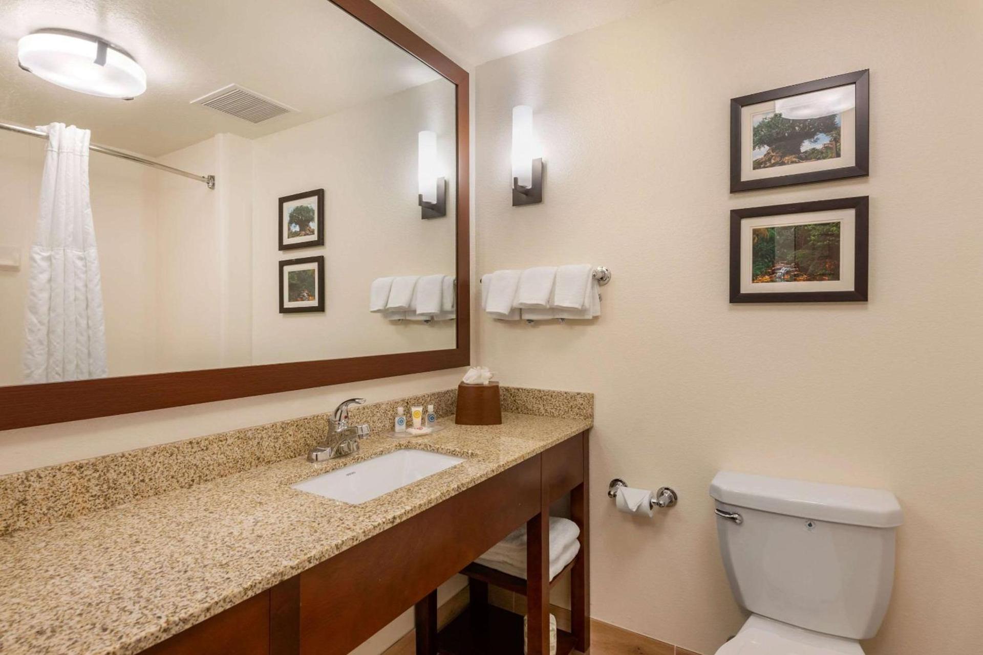 Comfort Suites Downtown photo 34