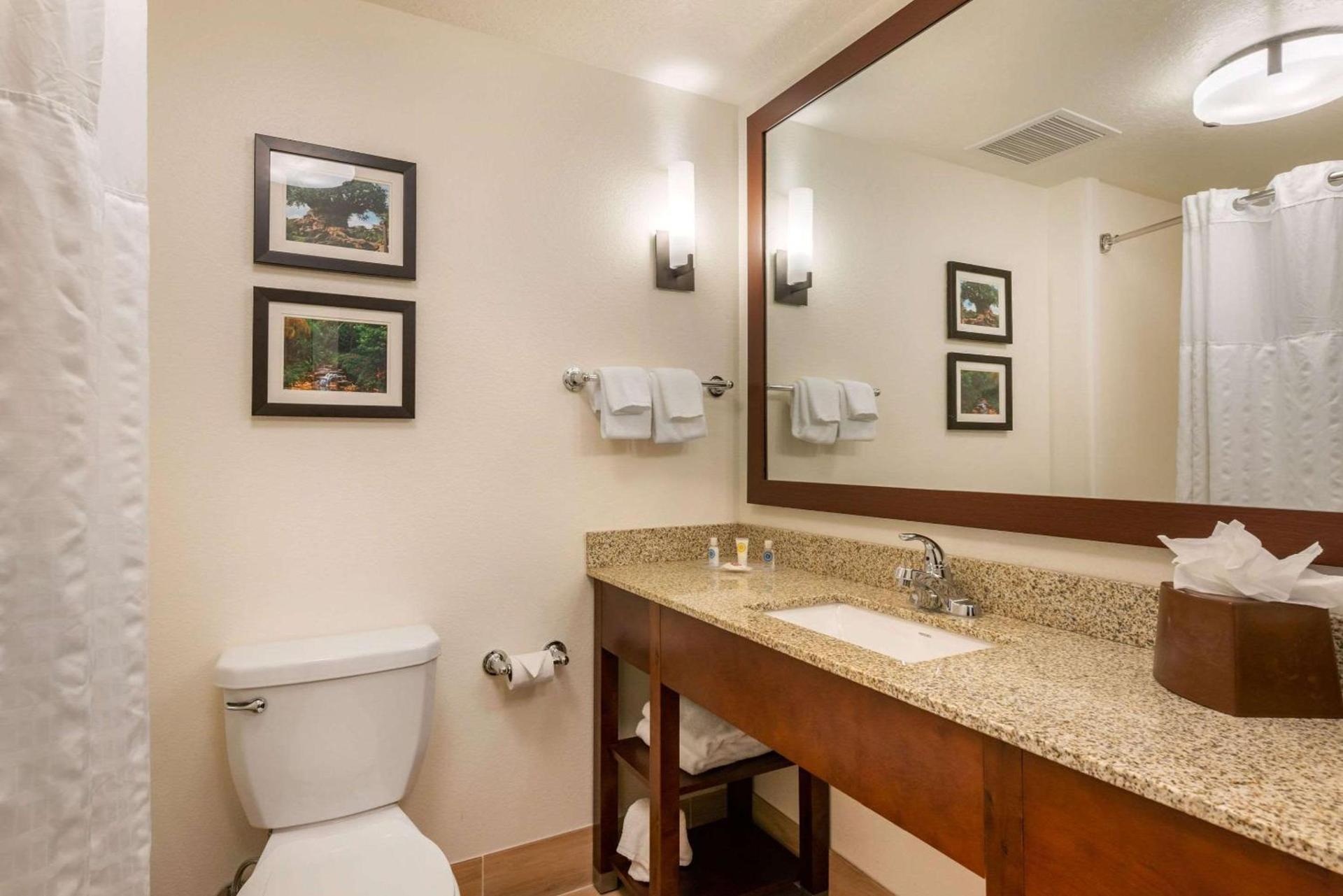 Comfort Suites Downtown photo 39