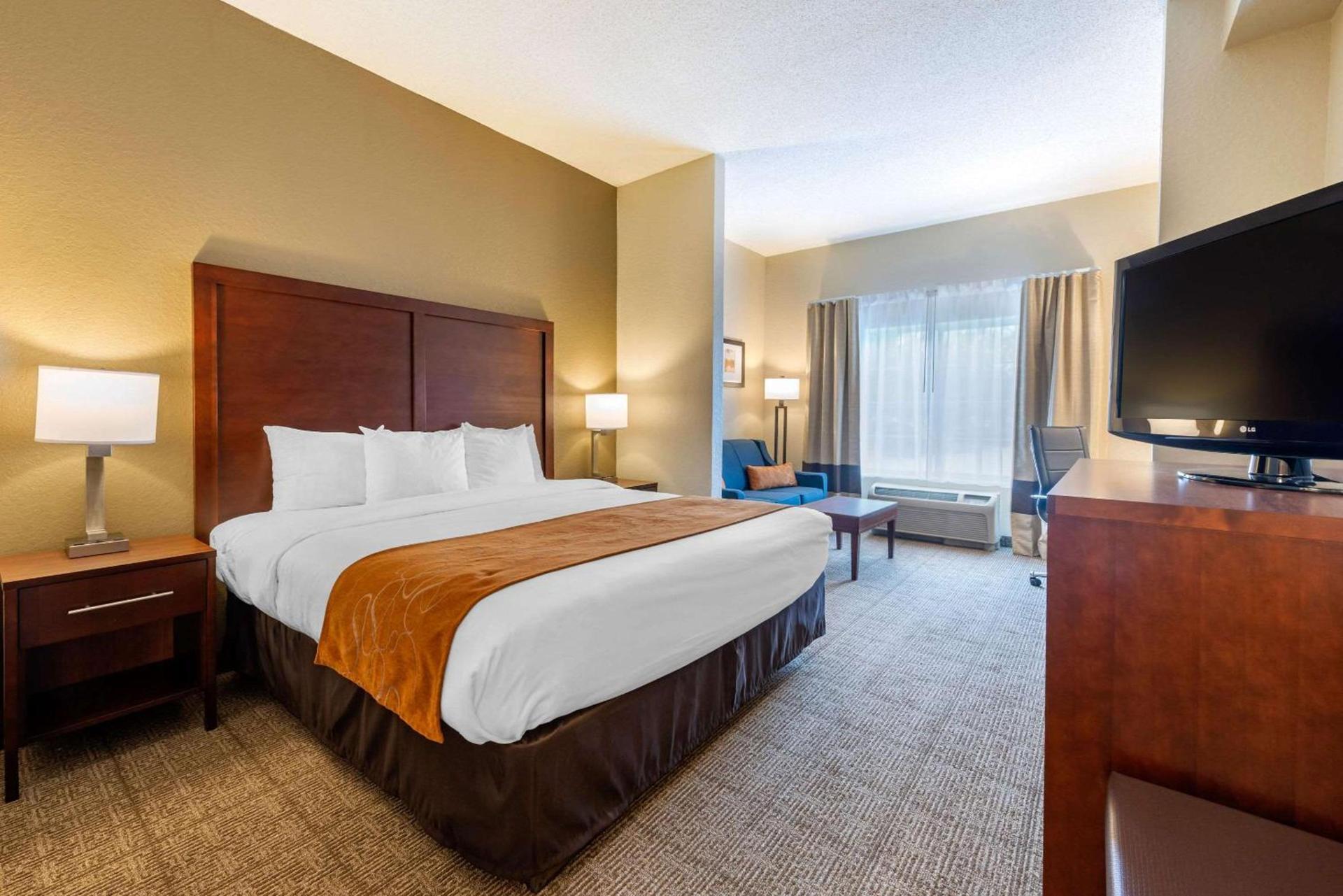 Comfort Suites Downtown photo 40