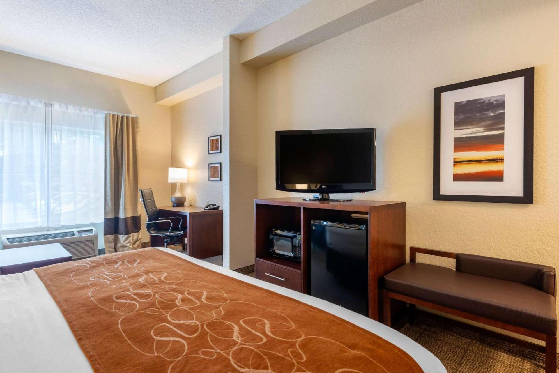 Comfort Suites Downtown photo 41