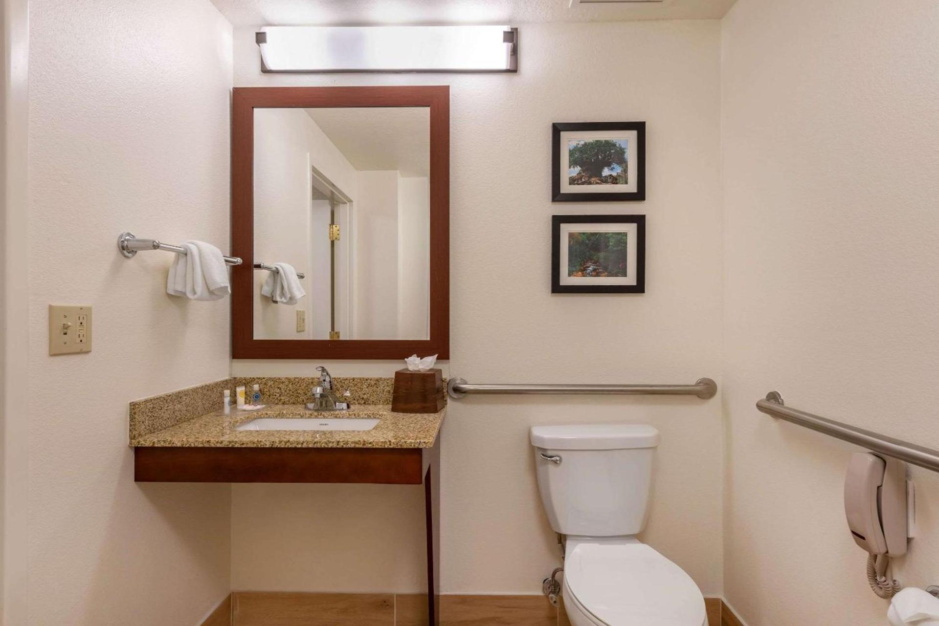 Comfort Suites Downtown photo 44