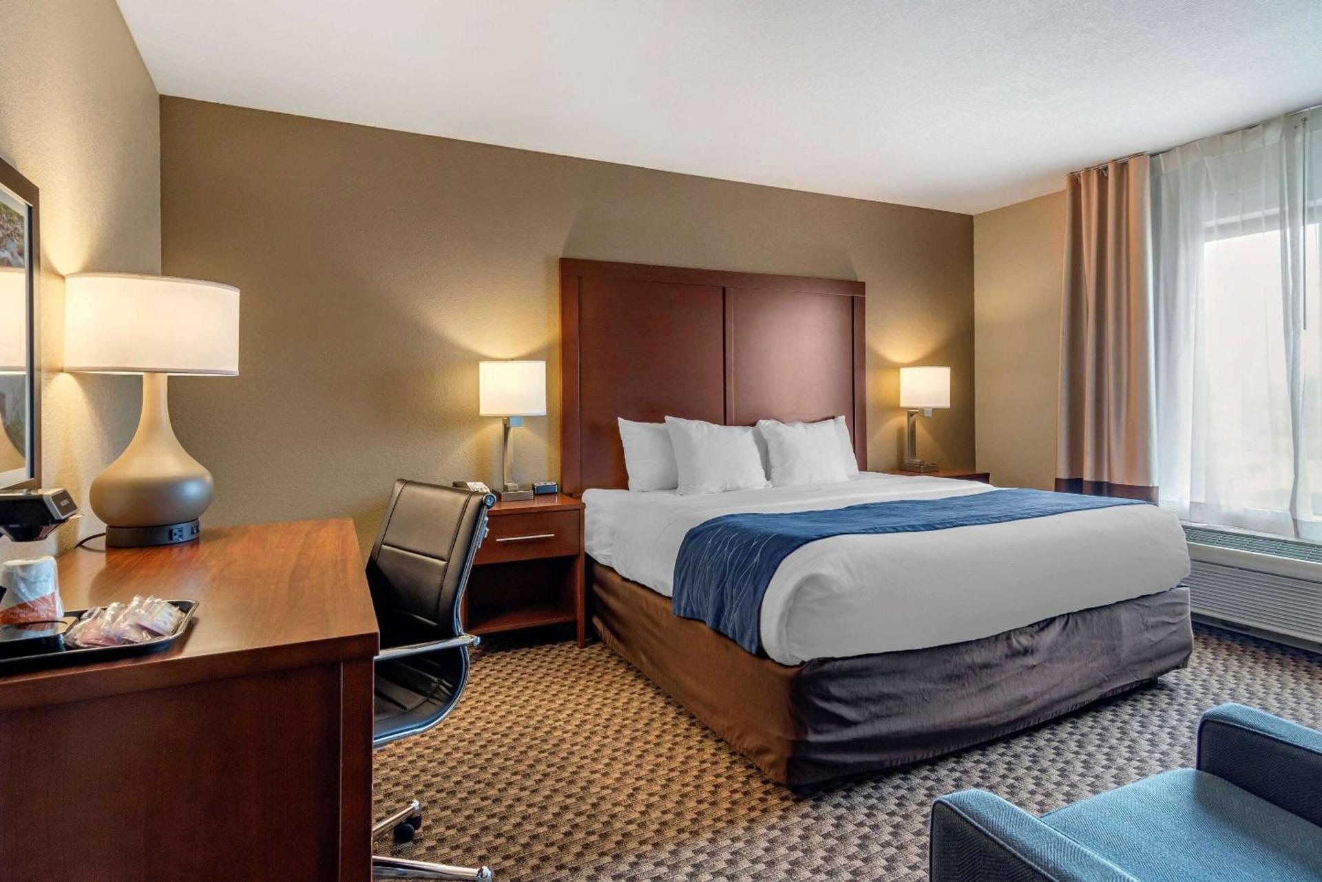 Comfort Inn & Suites Blue Ridge photo 25