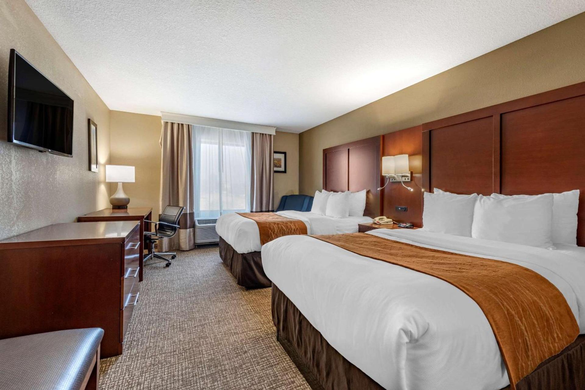 Comfort Inn & Suites Muncie Near University photo 5