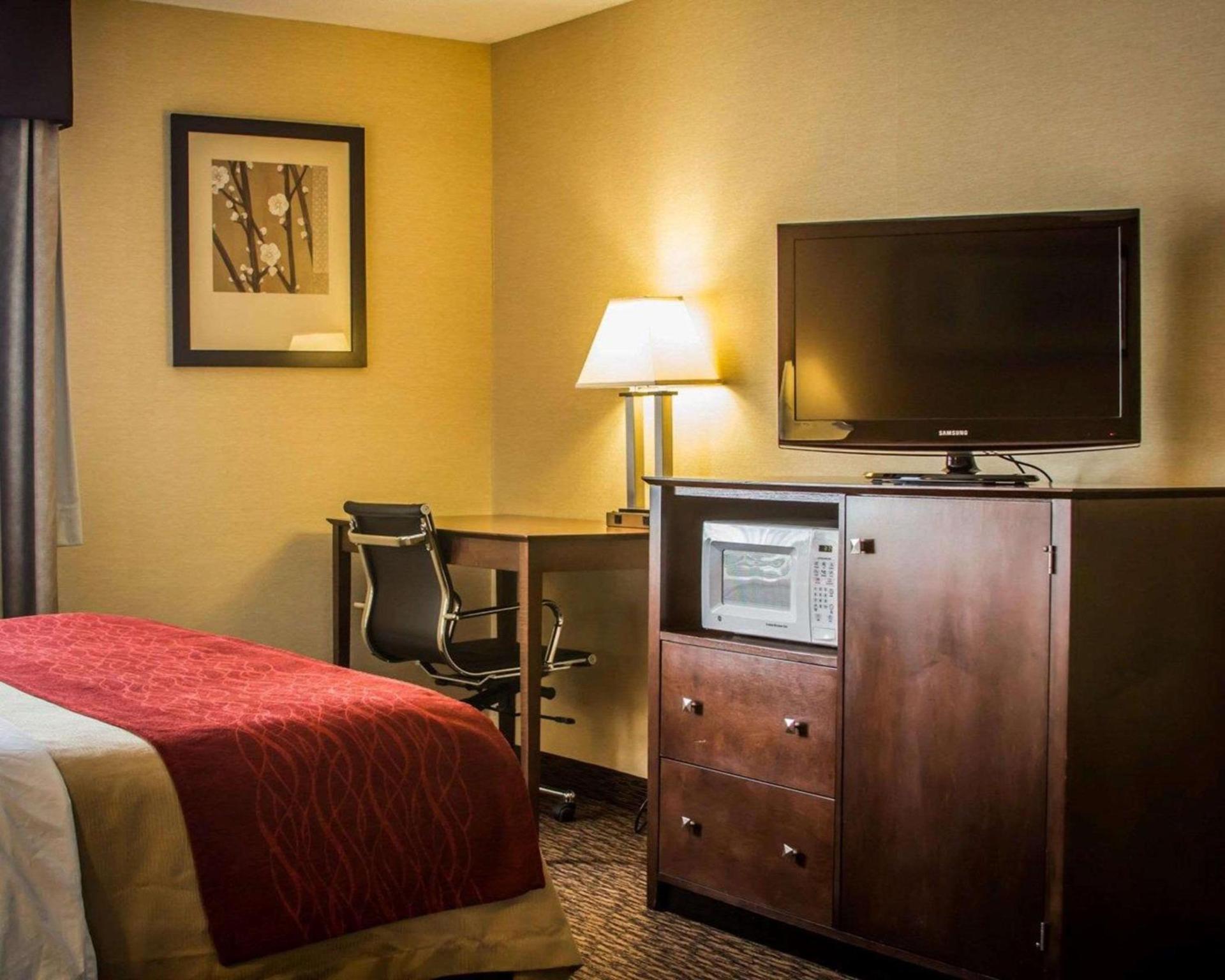 Quality Inn & Suites Port Huron photo 20