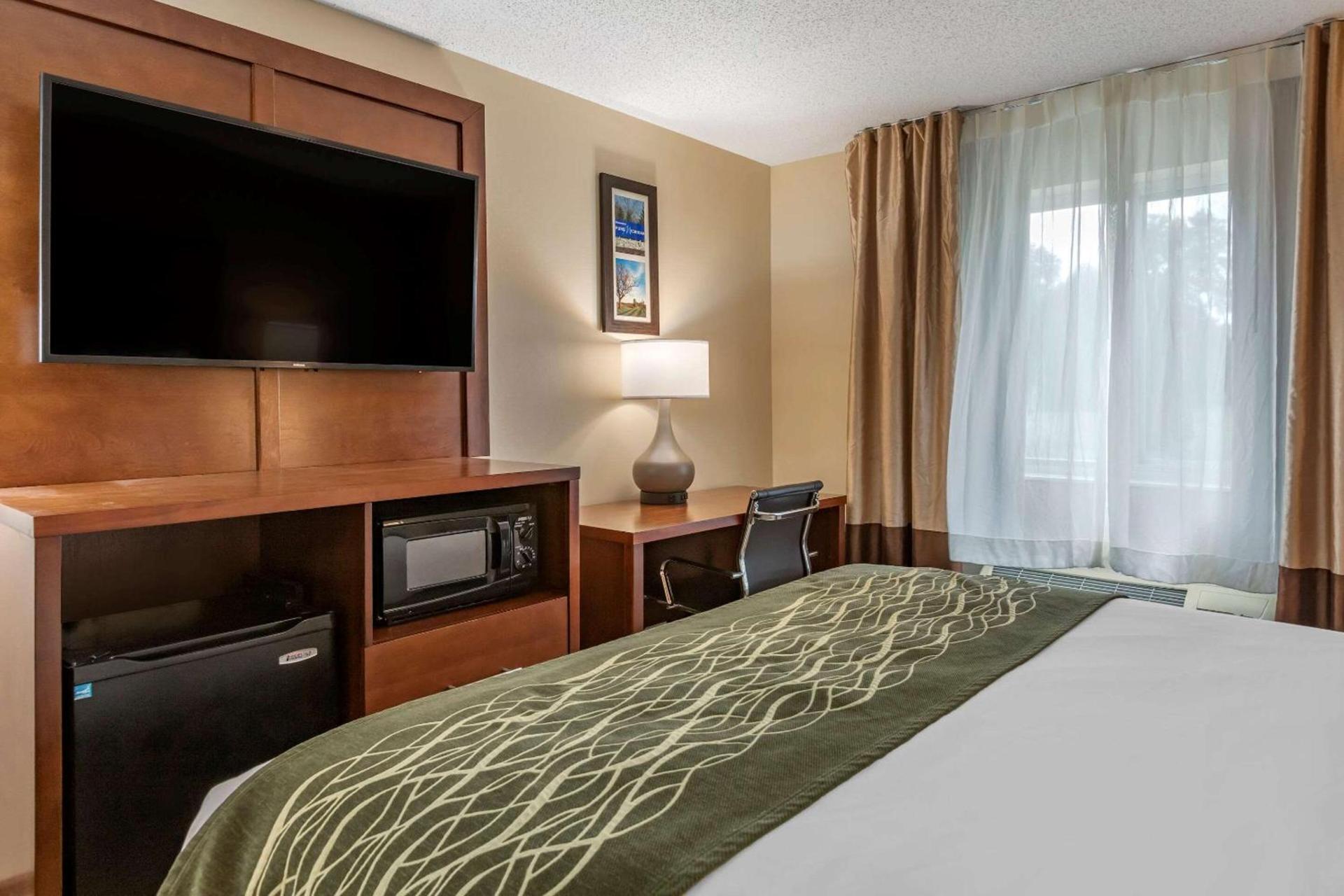 Comfort Inn & Suites Dimondale - Lansing photo 2