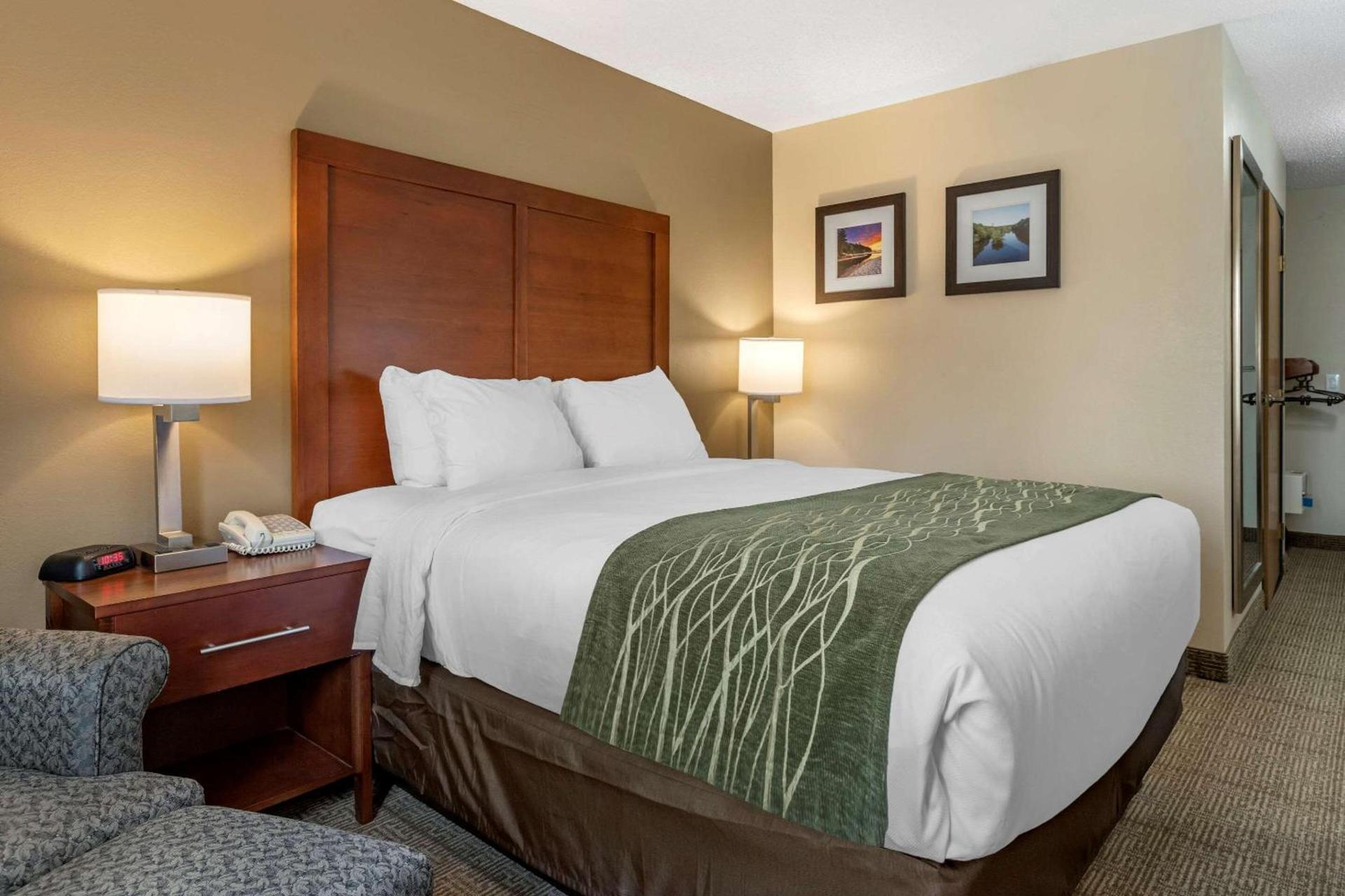 Comfort Inn & Suites Dimondale - Lansing photo 3