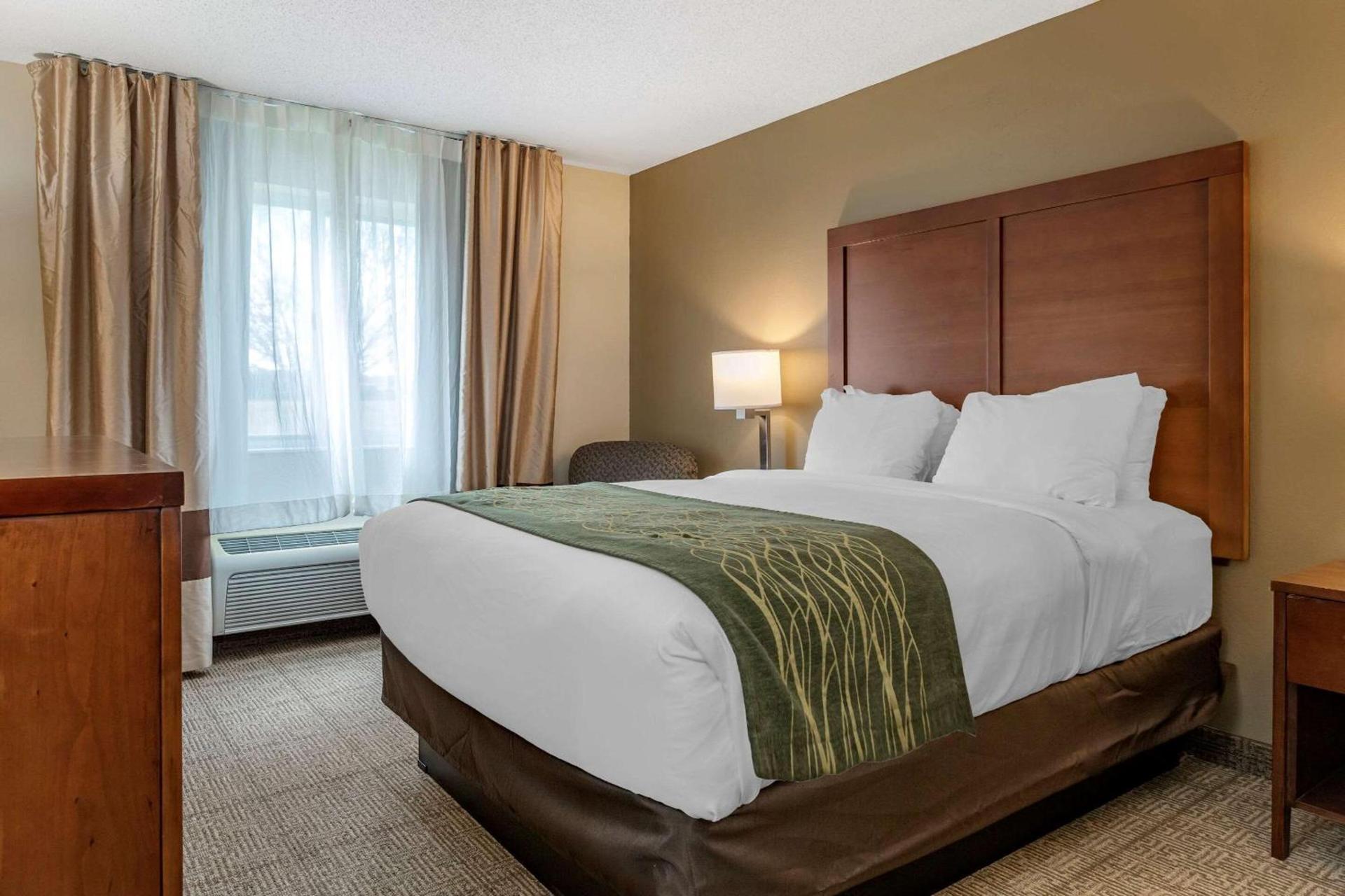 Comfort Inn & Suites Dimondale - Lansing photo 6