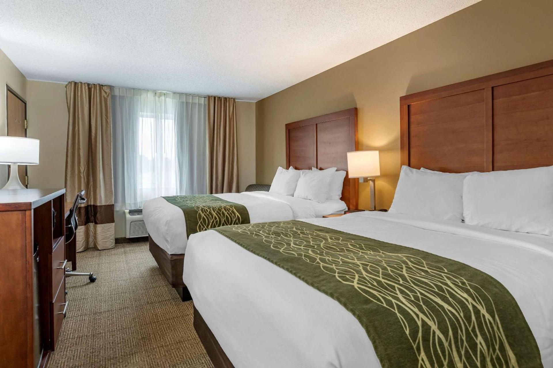 Comfort Inn & Suites Dimondale - Lansing photo 9