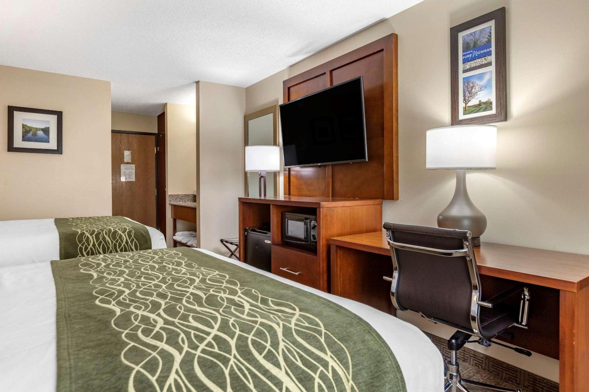 Comfort Inn & Suites Dimondale - Lansing photo 10