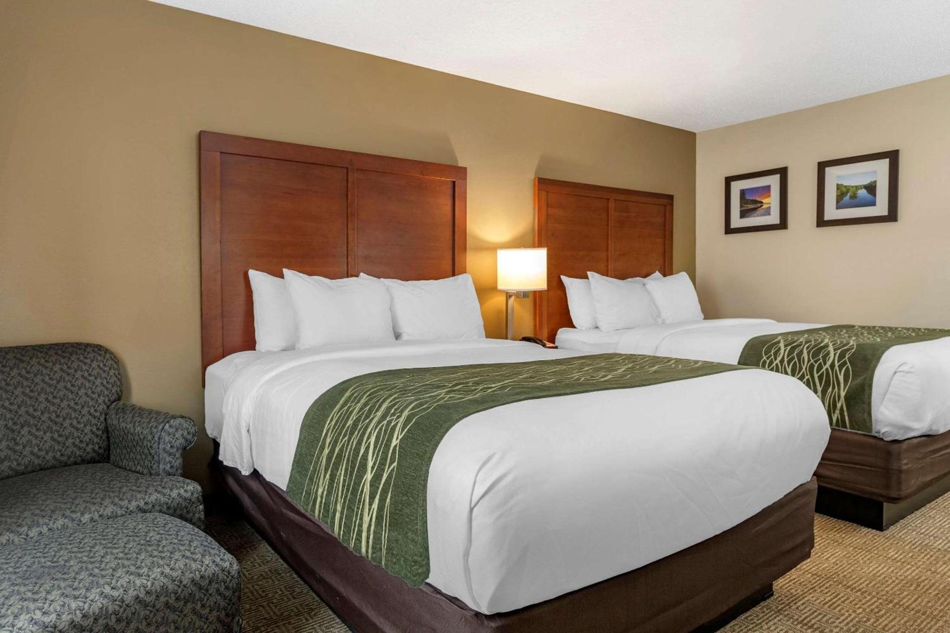 Comfort Inn & Suites Dimondale - Lansing photo 11