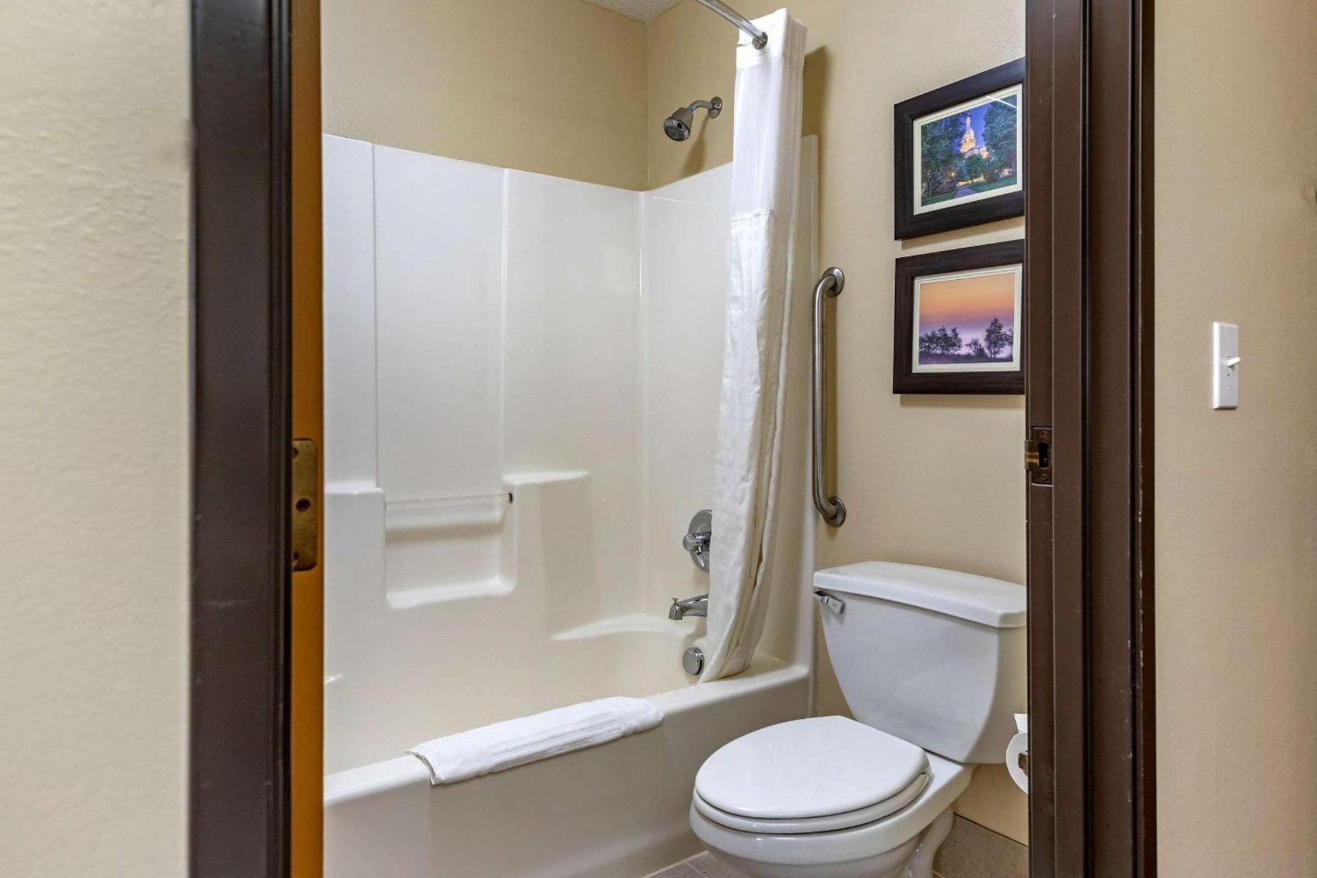 Comfort Inn & Suites Dimondale - Lansing photo 13