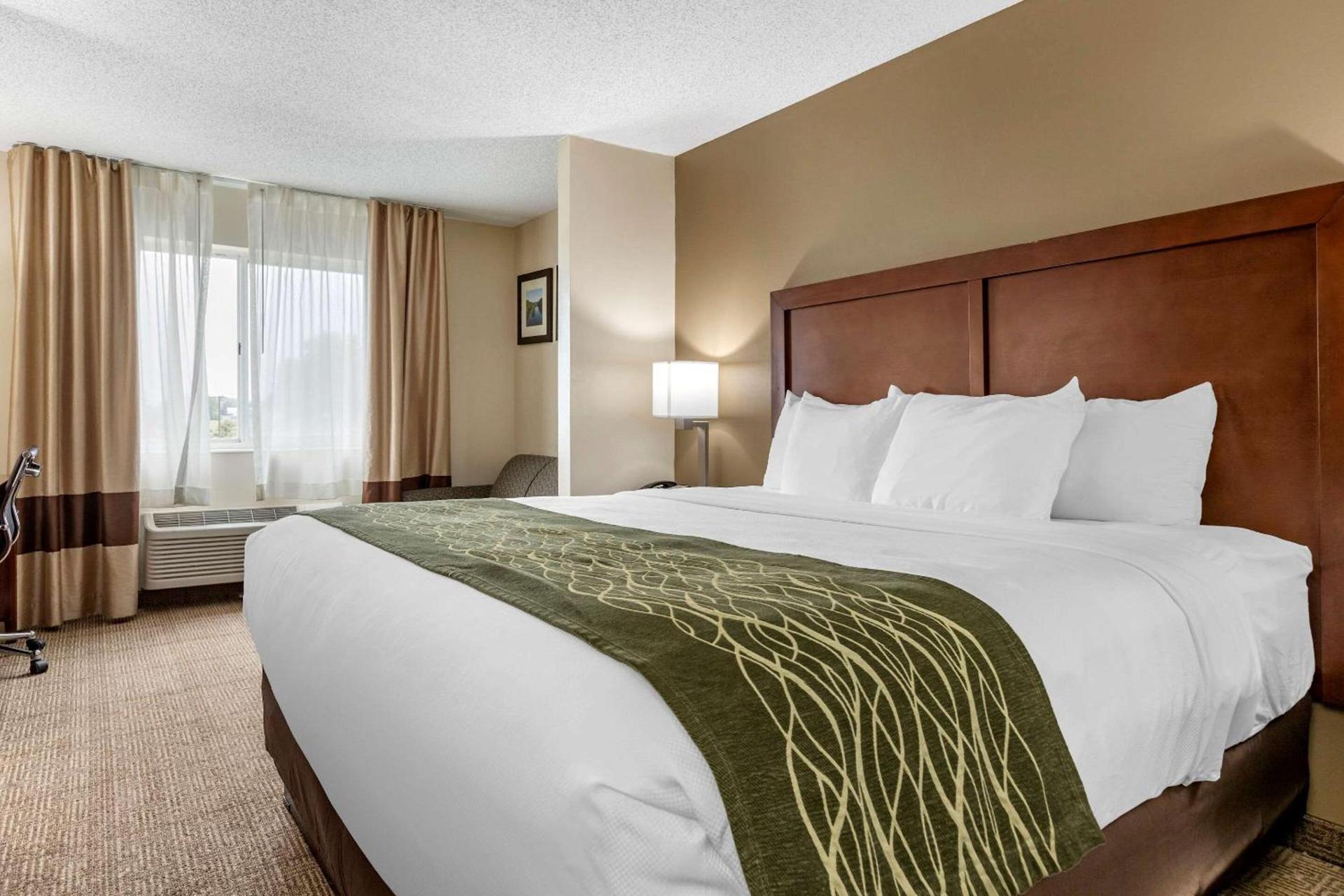 Comfort Inn & Suites Dimondale - Lansing photo 15
