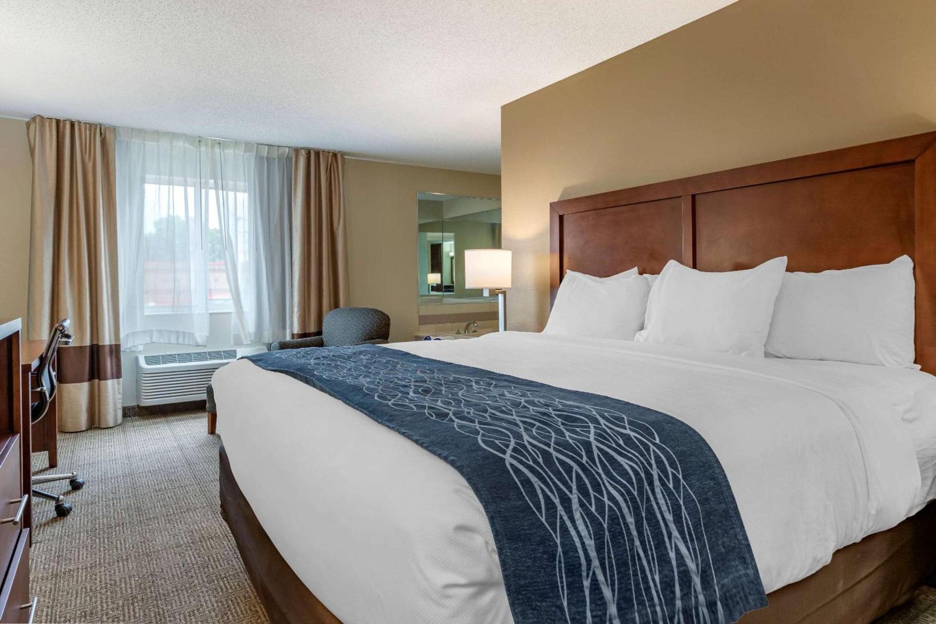 Comfort Inn & Suites Dimondale - Lansing photo 16