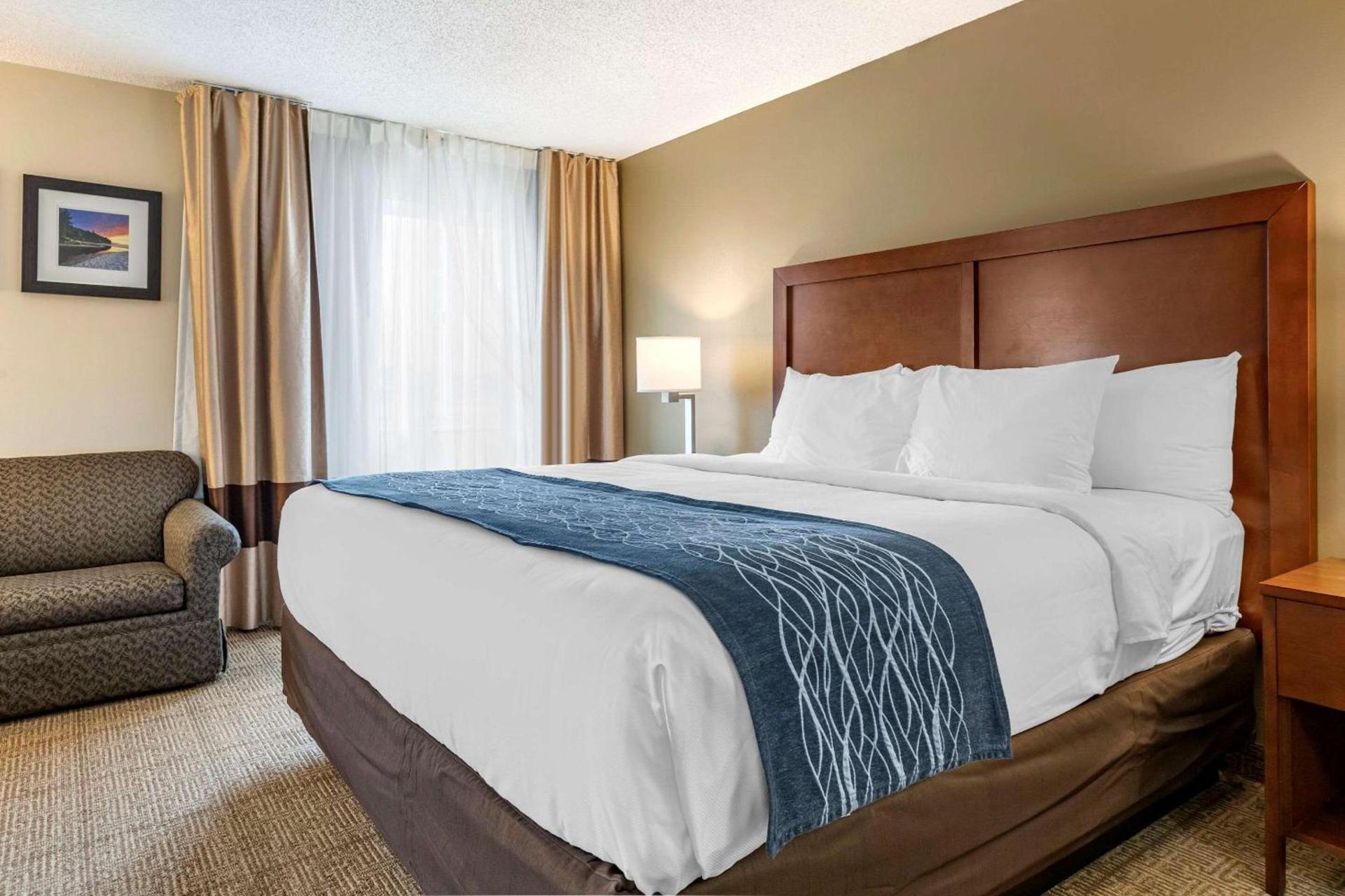 Comfort Inn & Suites Dimondale - Lansing photo 18