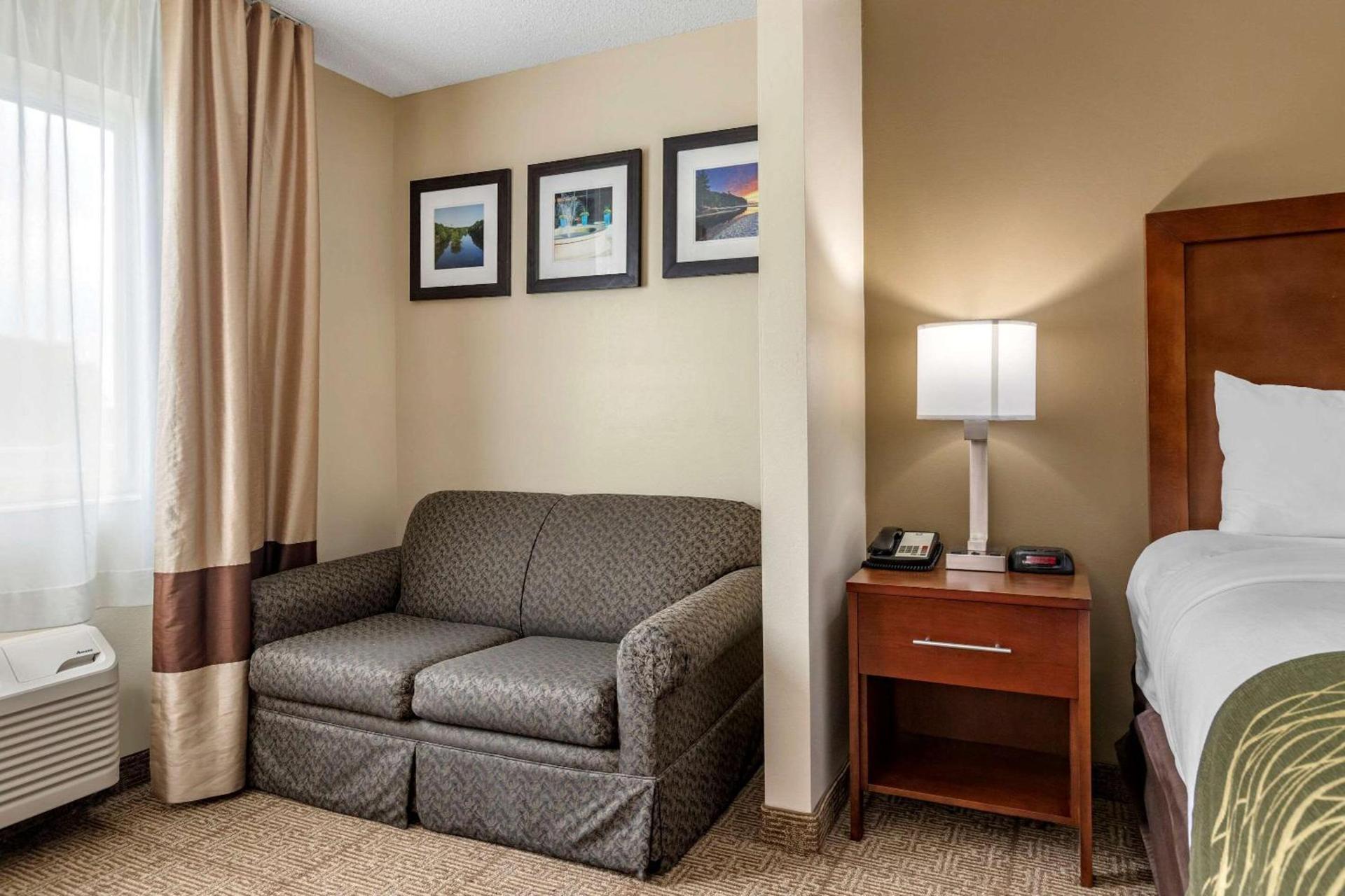 Comfort Inn & Suites Dimondale - Lansing photo 19