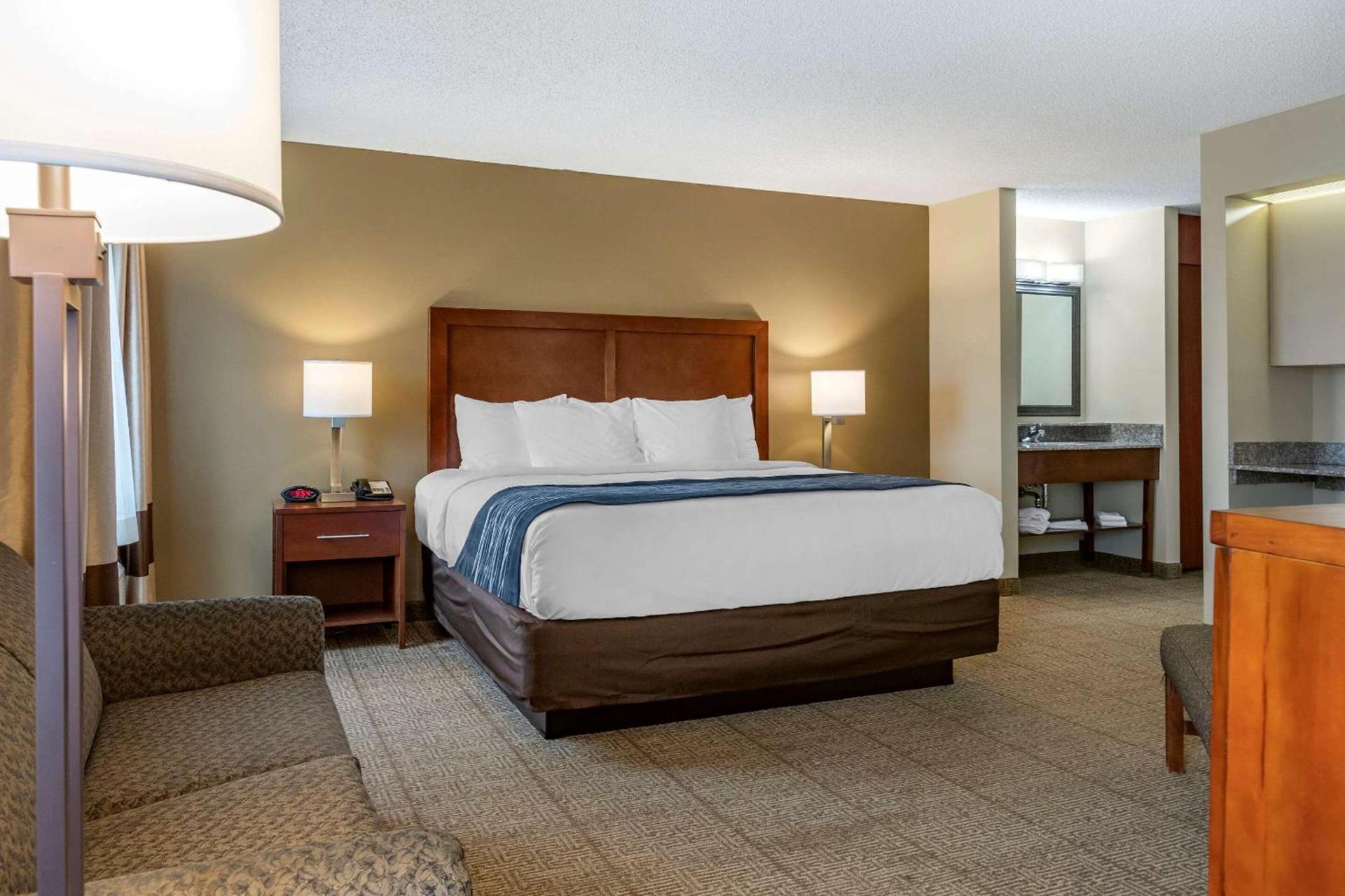 Comfort Inn & Suites Dimondale - Lansing photo 21