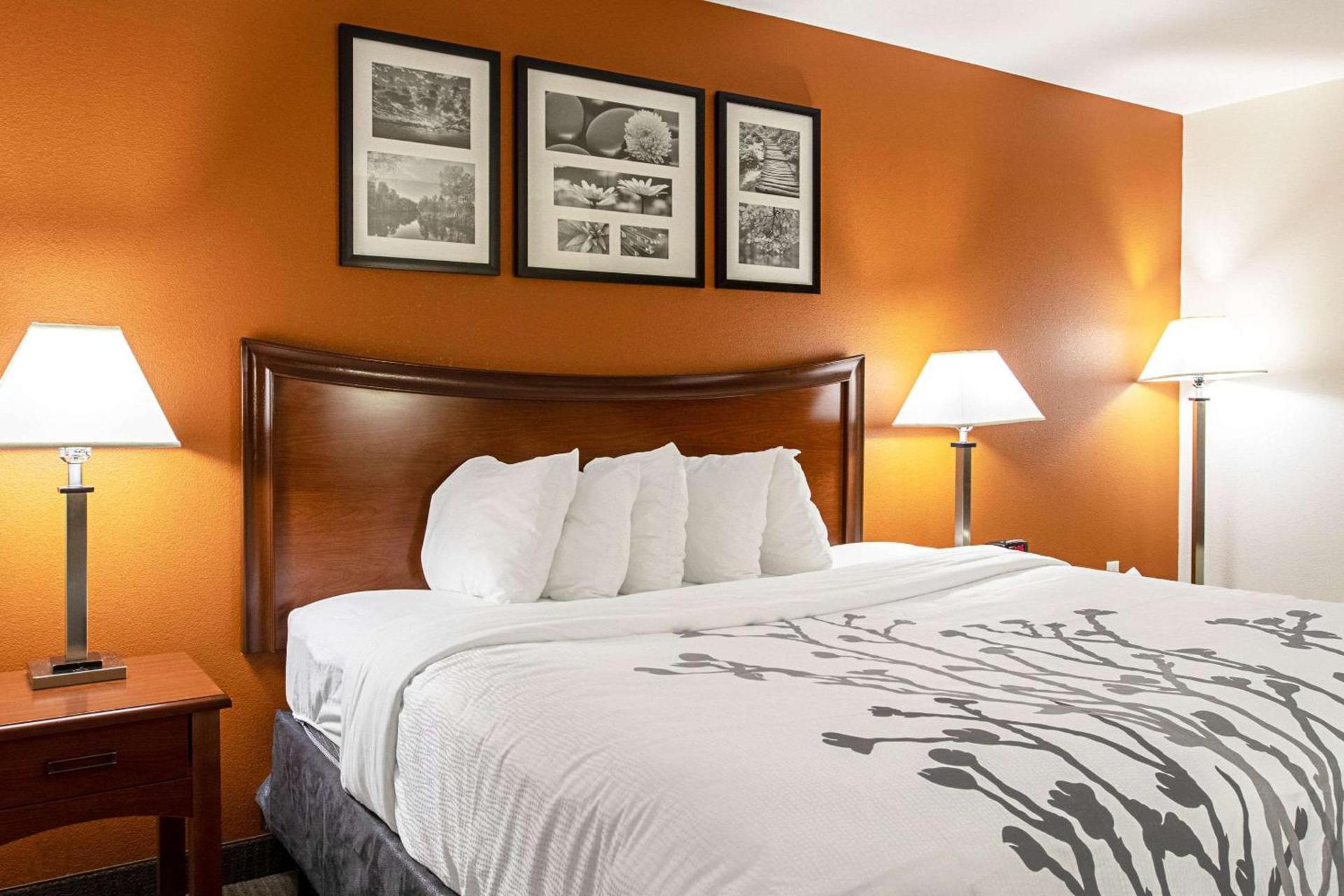 Sleep Inn & Suites Hobbs photo 8