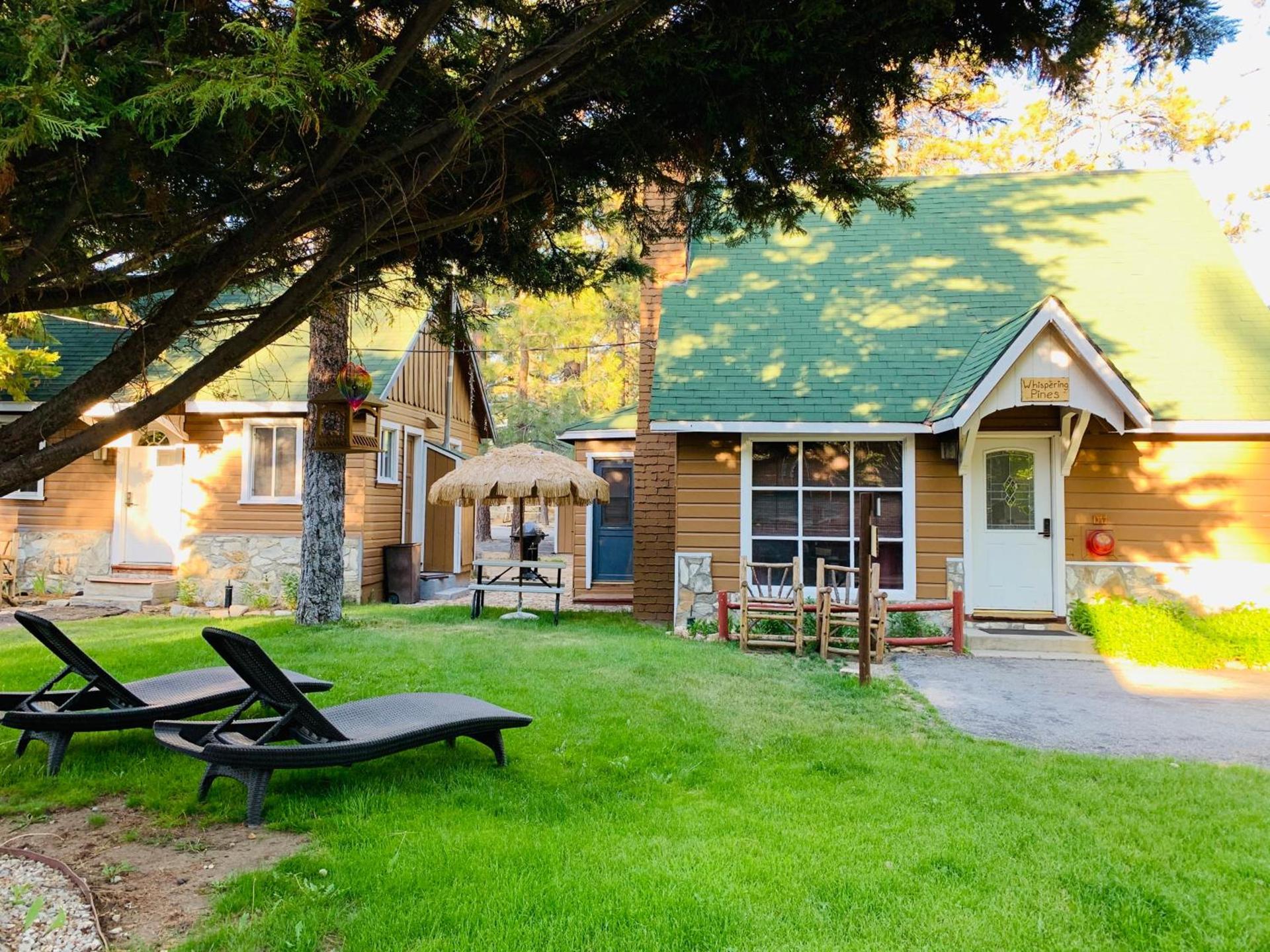 Grey Squirrel Resort photo 78
