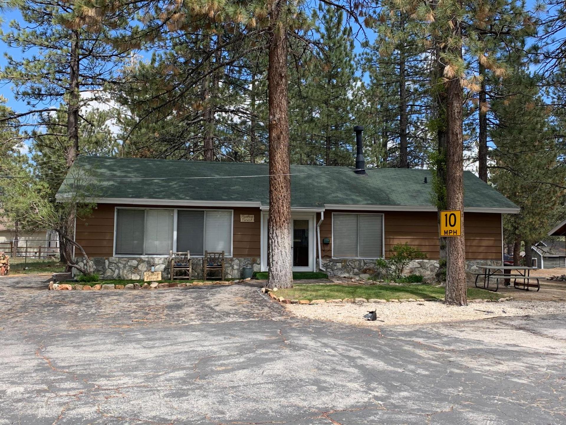 Grey Squirrel Resort photo 57