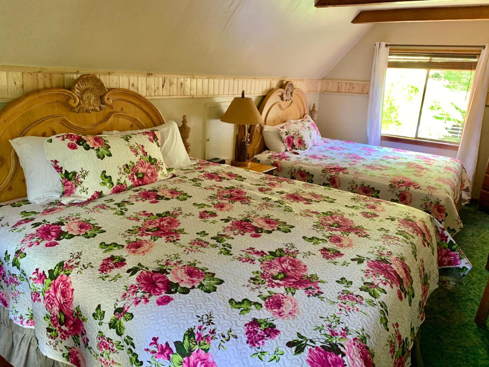 Grey Squirrel Resort photo 69