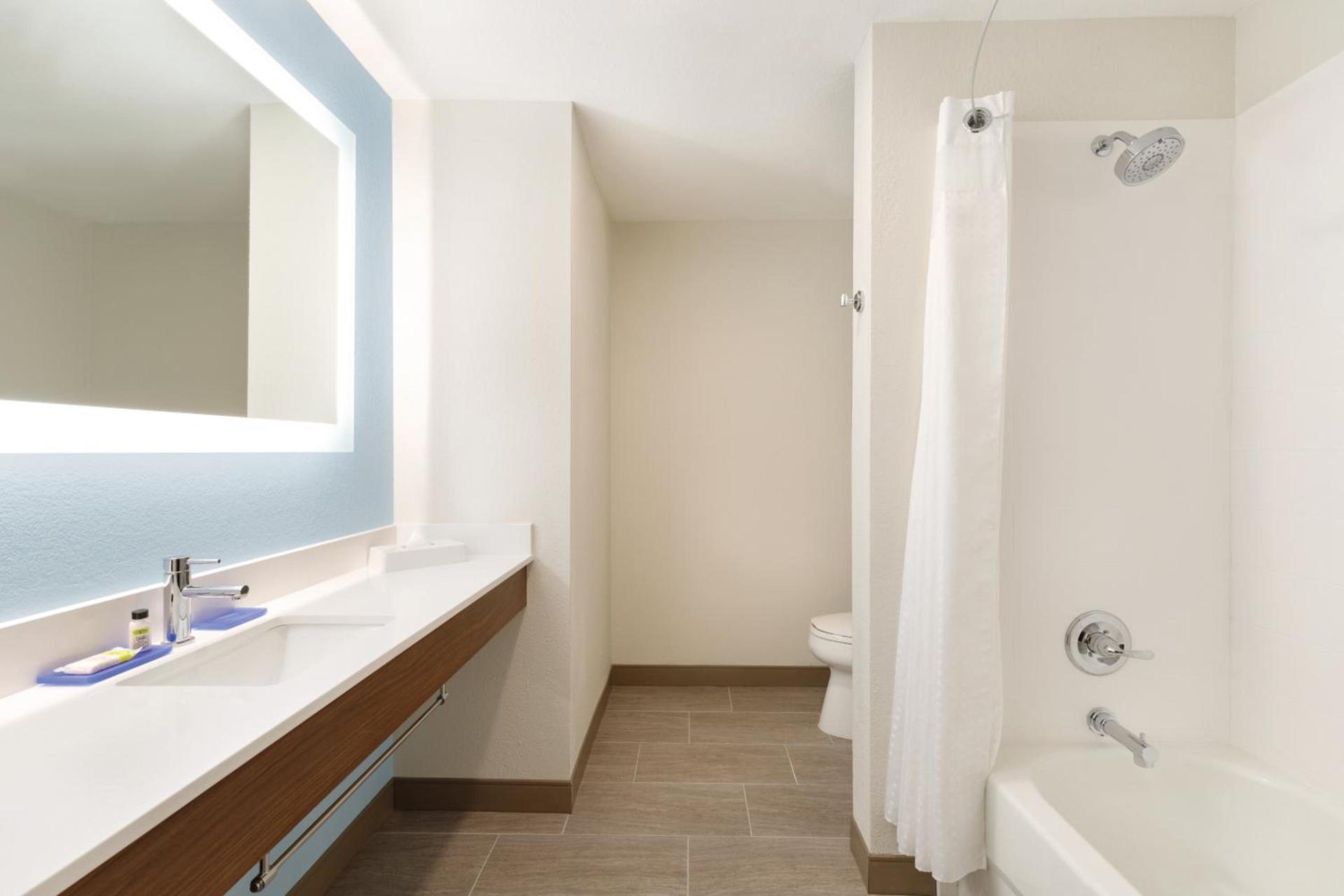 Holiday Inn Express Hotel & Suites Lavonia by IHG photo 22