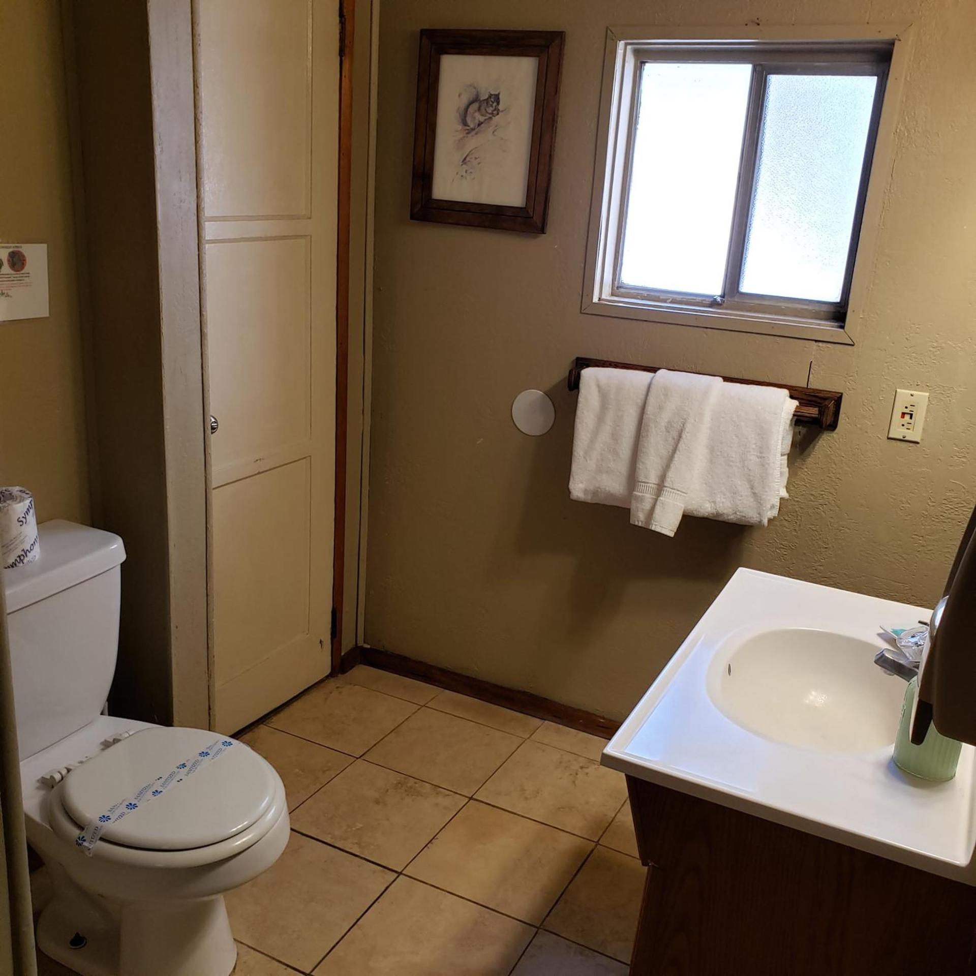 Grey Squirrel Resort photo 13