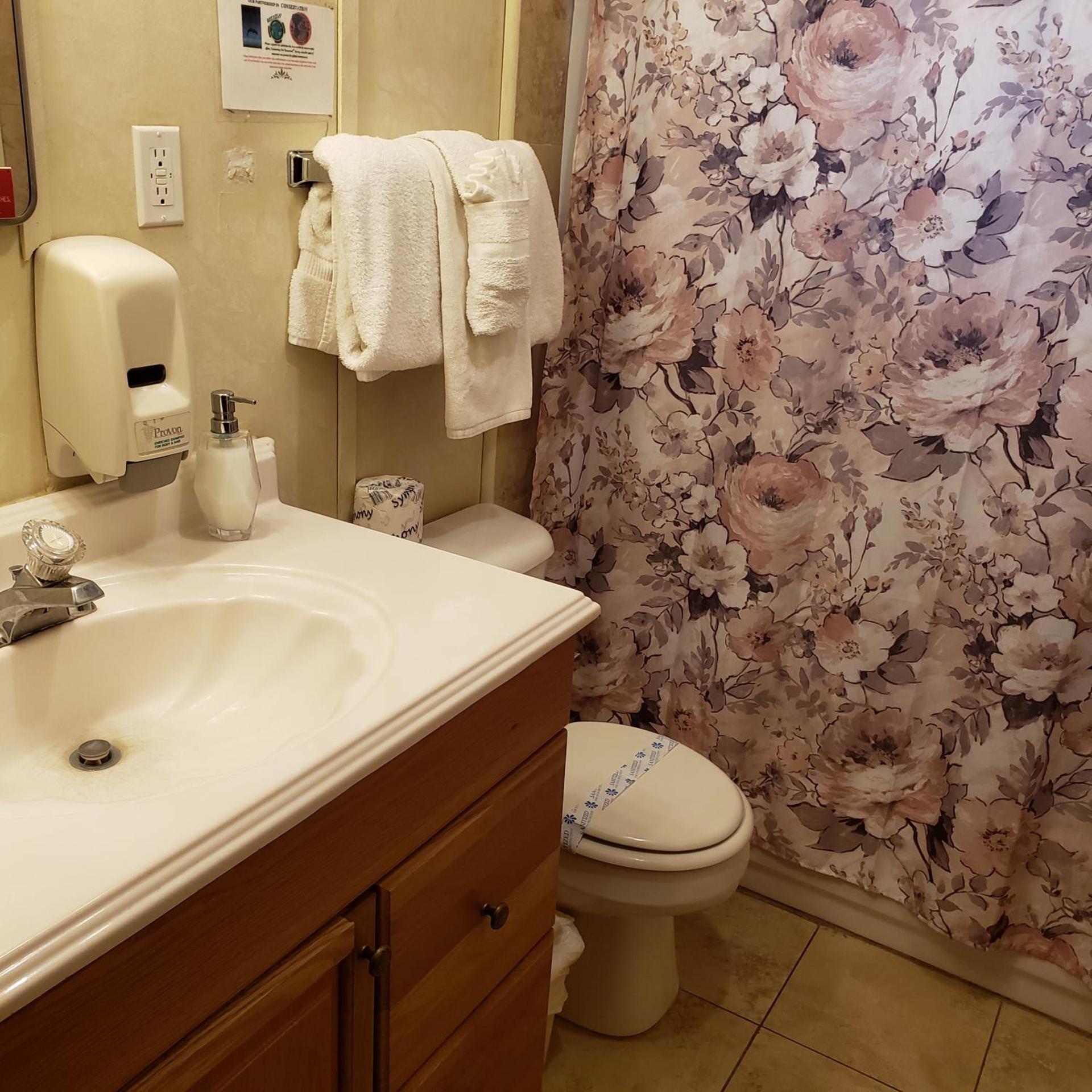 Grey Squirrel Resort photo 12