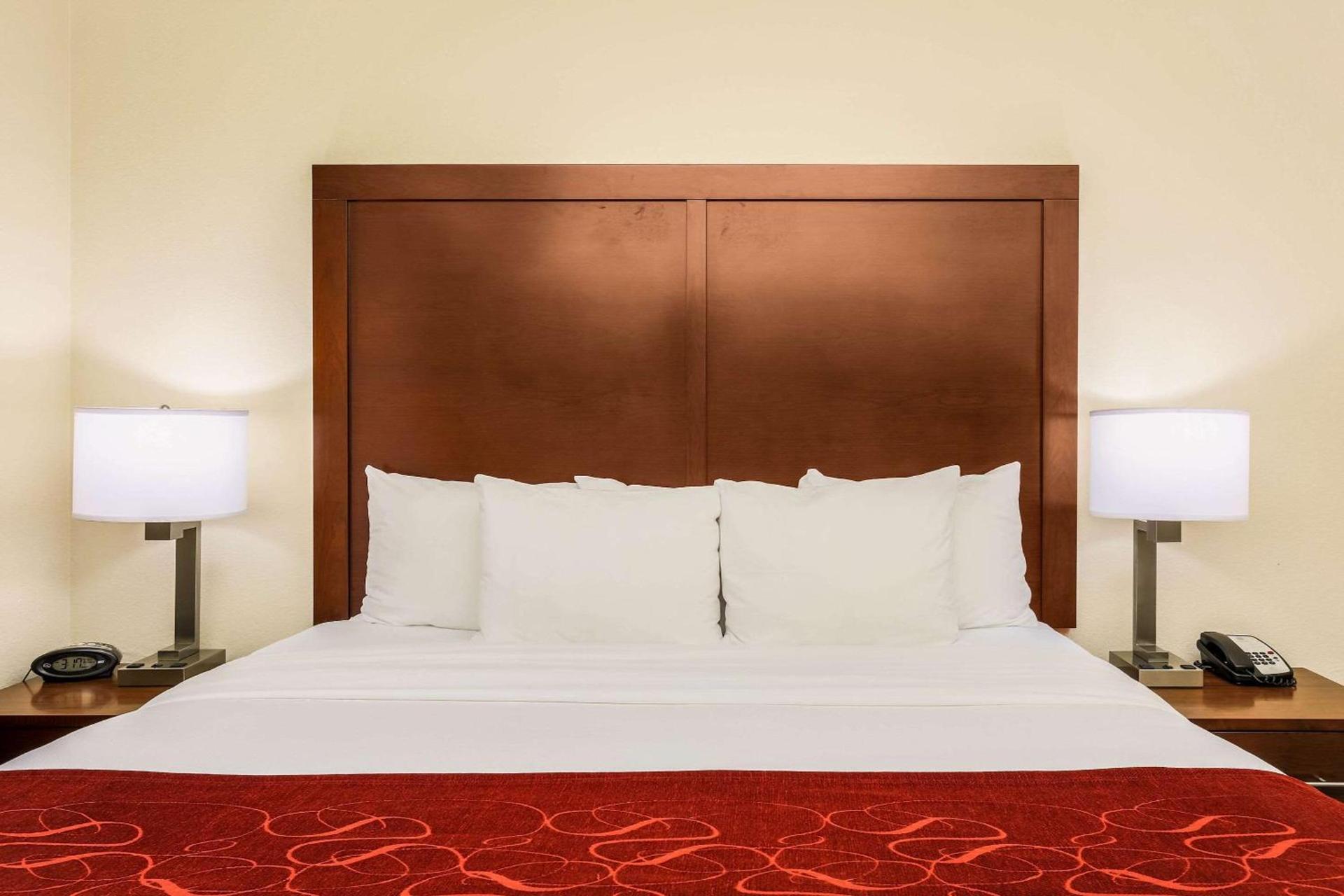 Comfort Suites DFW N-Grapevine photo 9